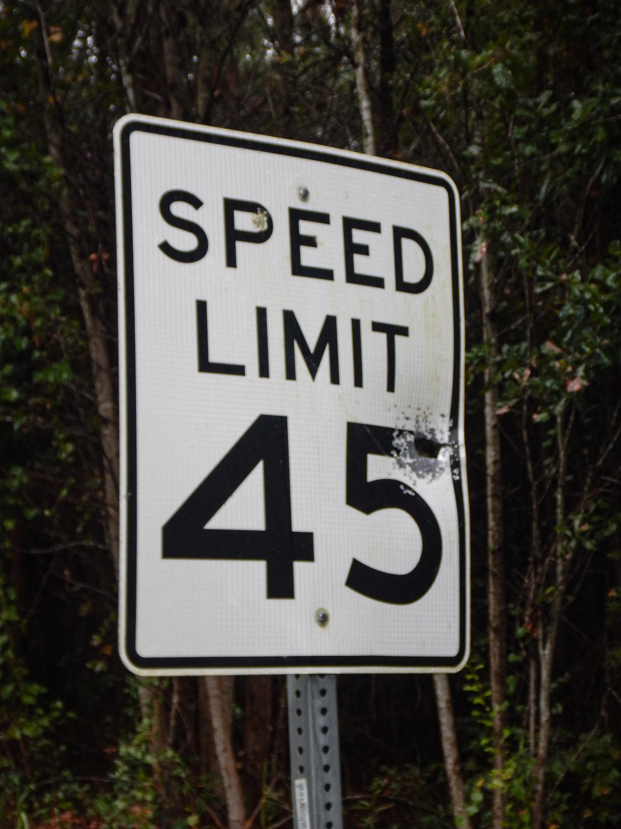 Note lthe arge caliber bullet holed in the sign