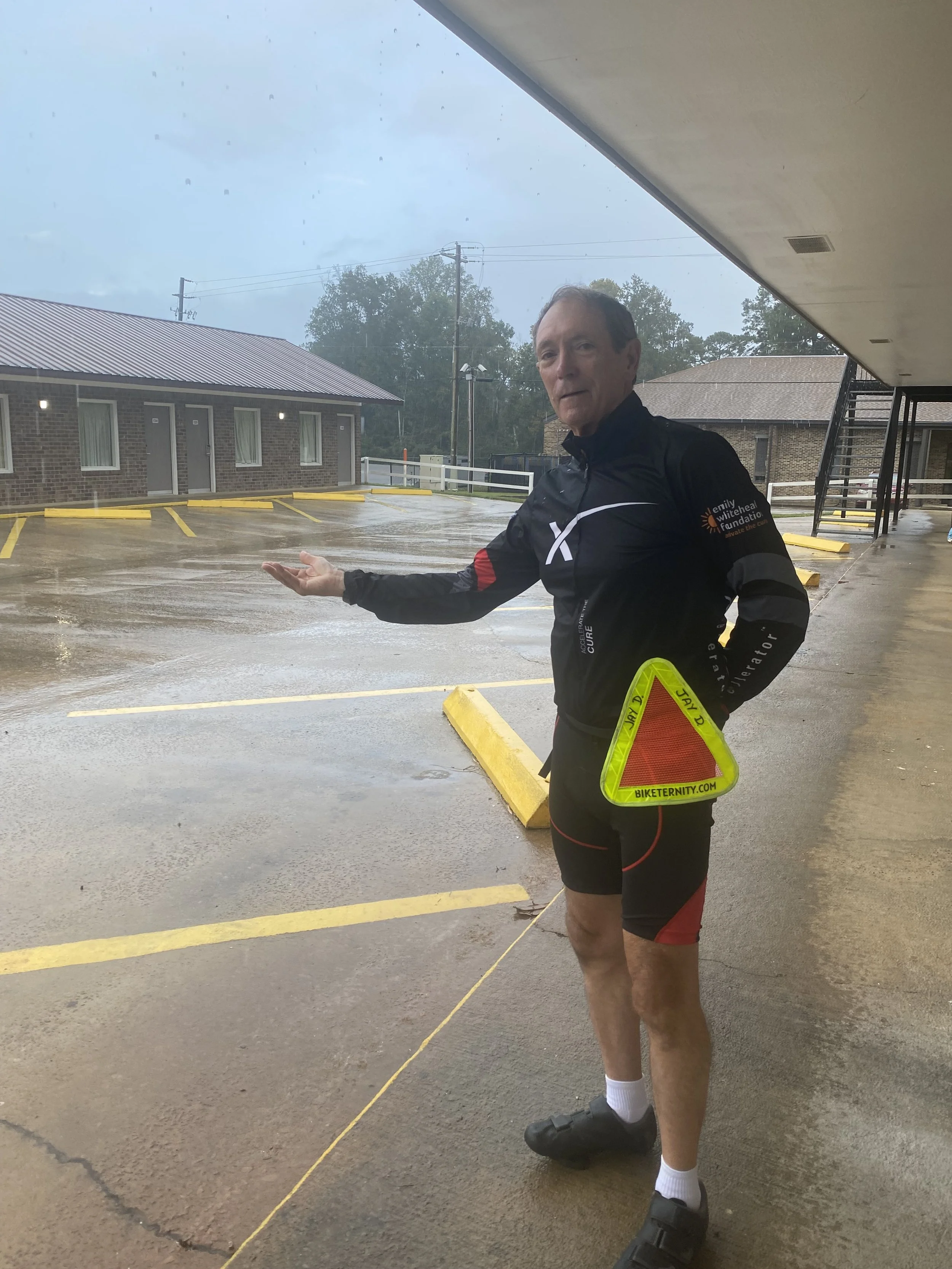 Jay obdeerving the weather