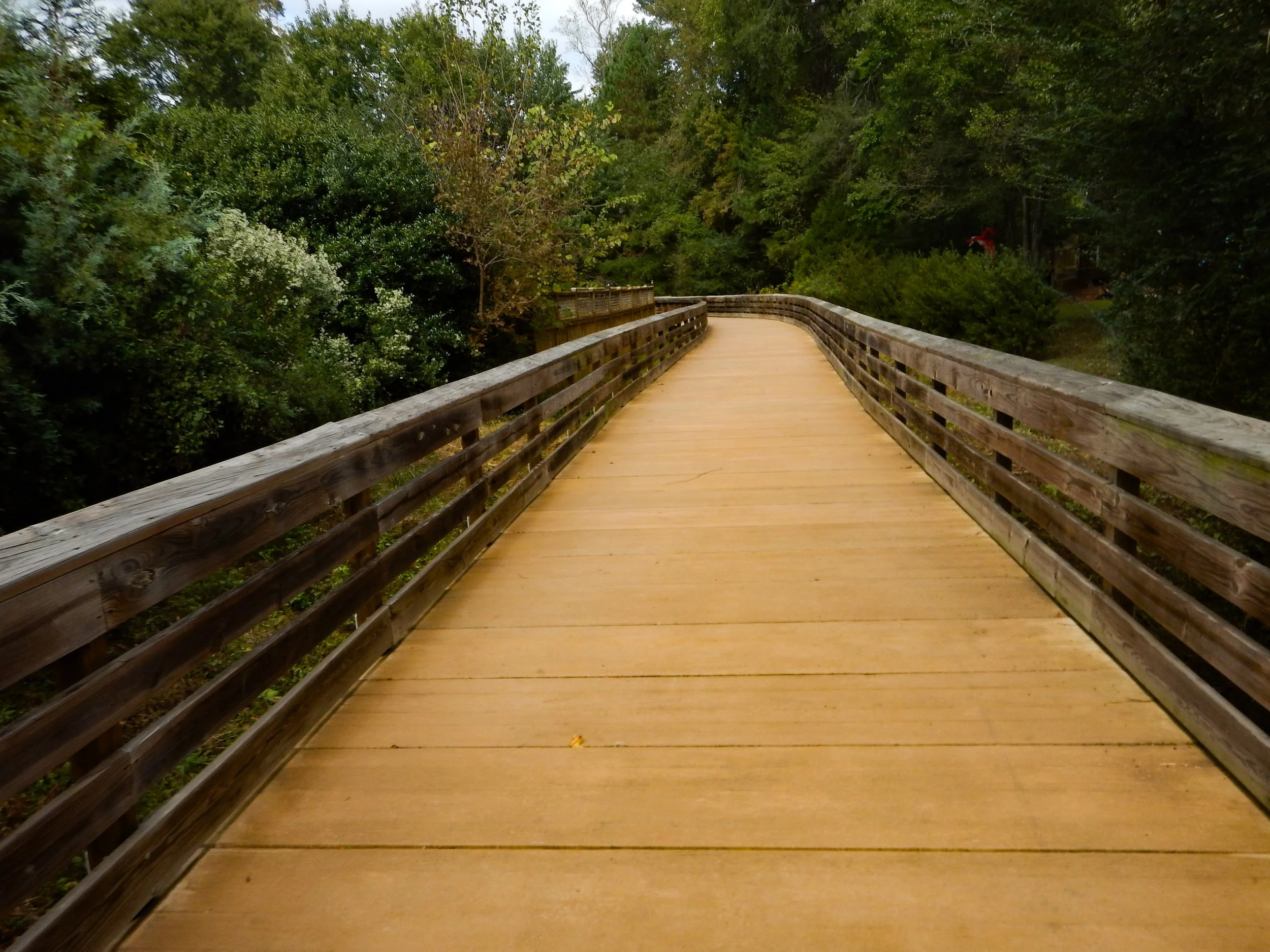More elevated walkway (it was long)