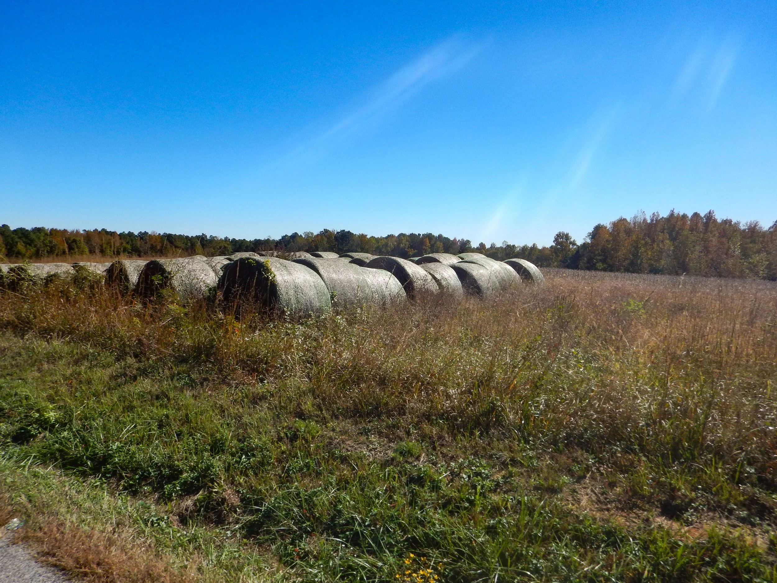 Hay bales