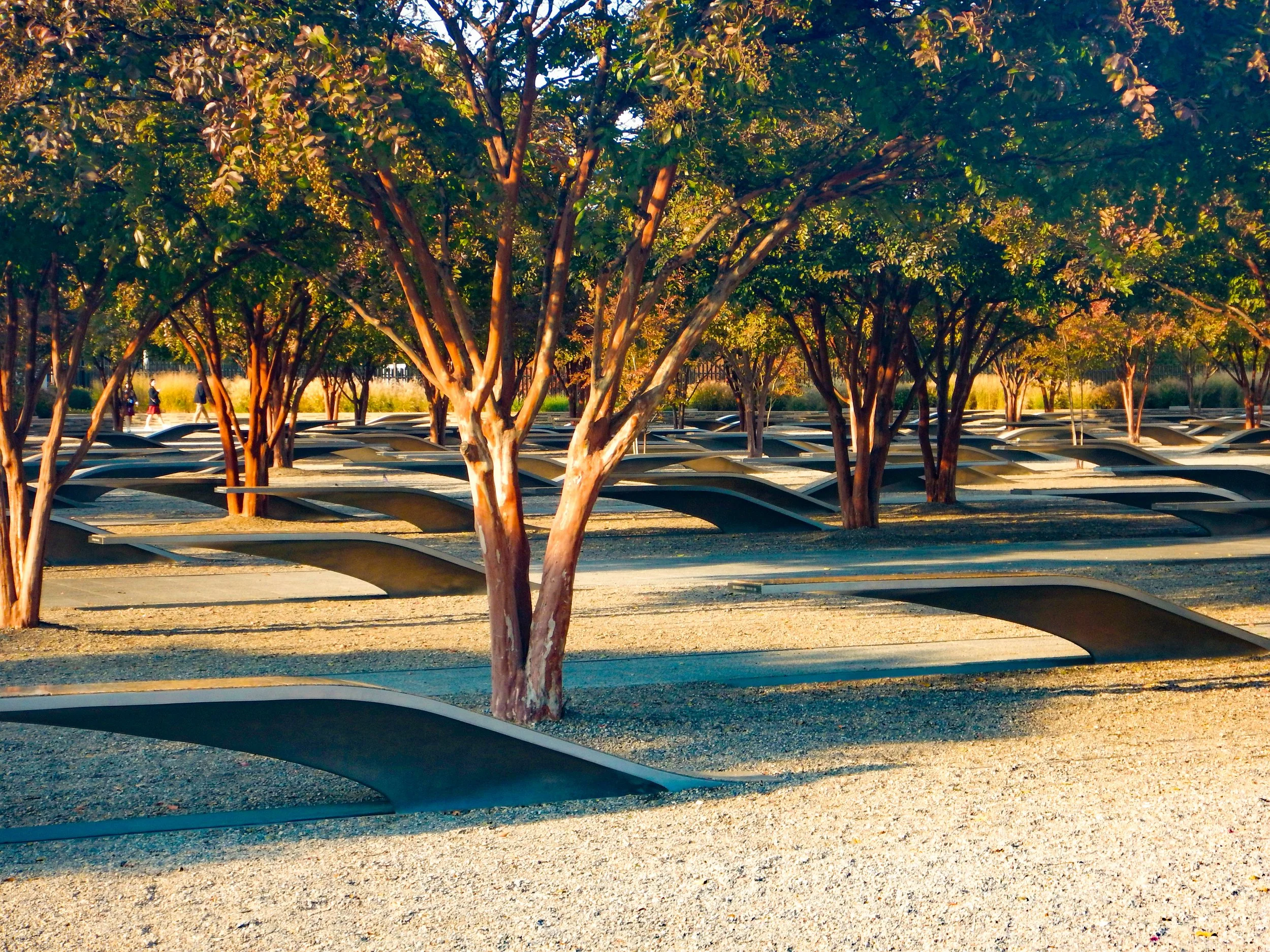 Pentagon 9/11 Memorial benches and crape myrtles