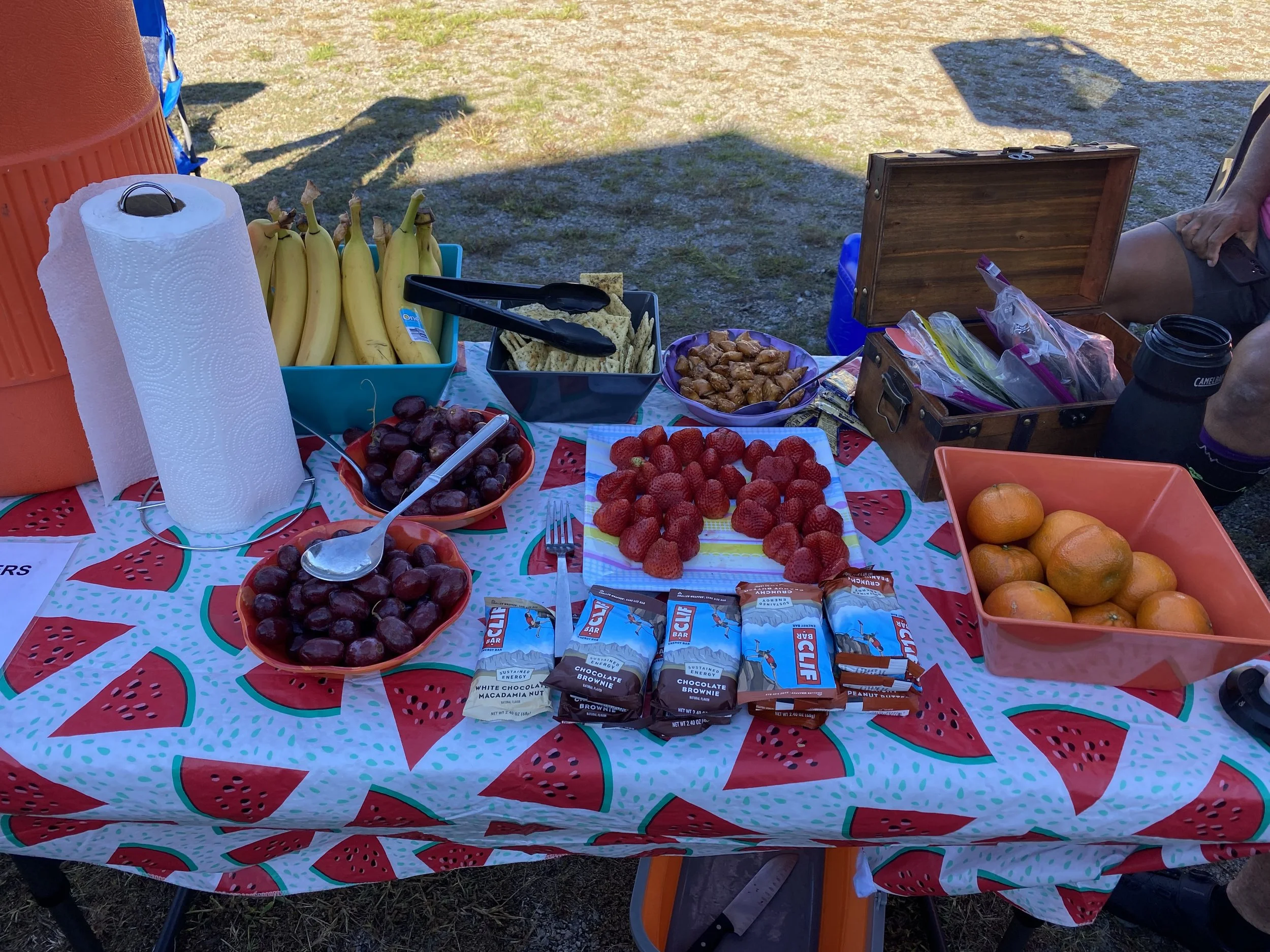 Fresh fruit snacks at first rest stop