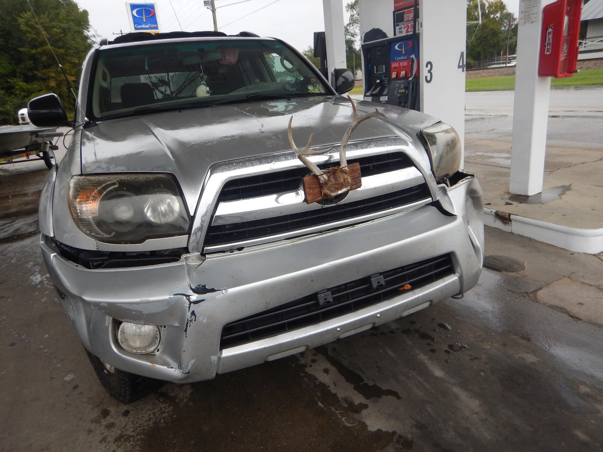 Dear antlers as a hood ornament