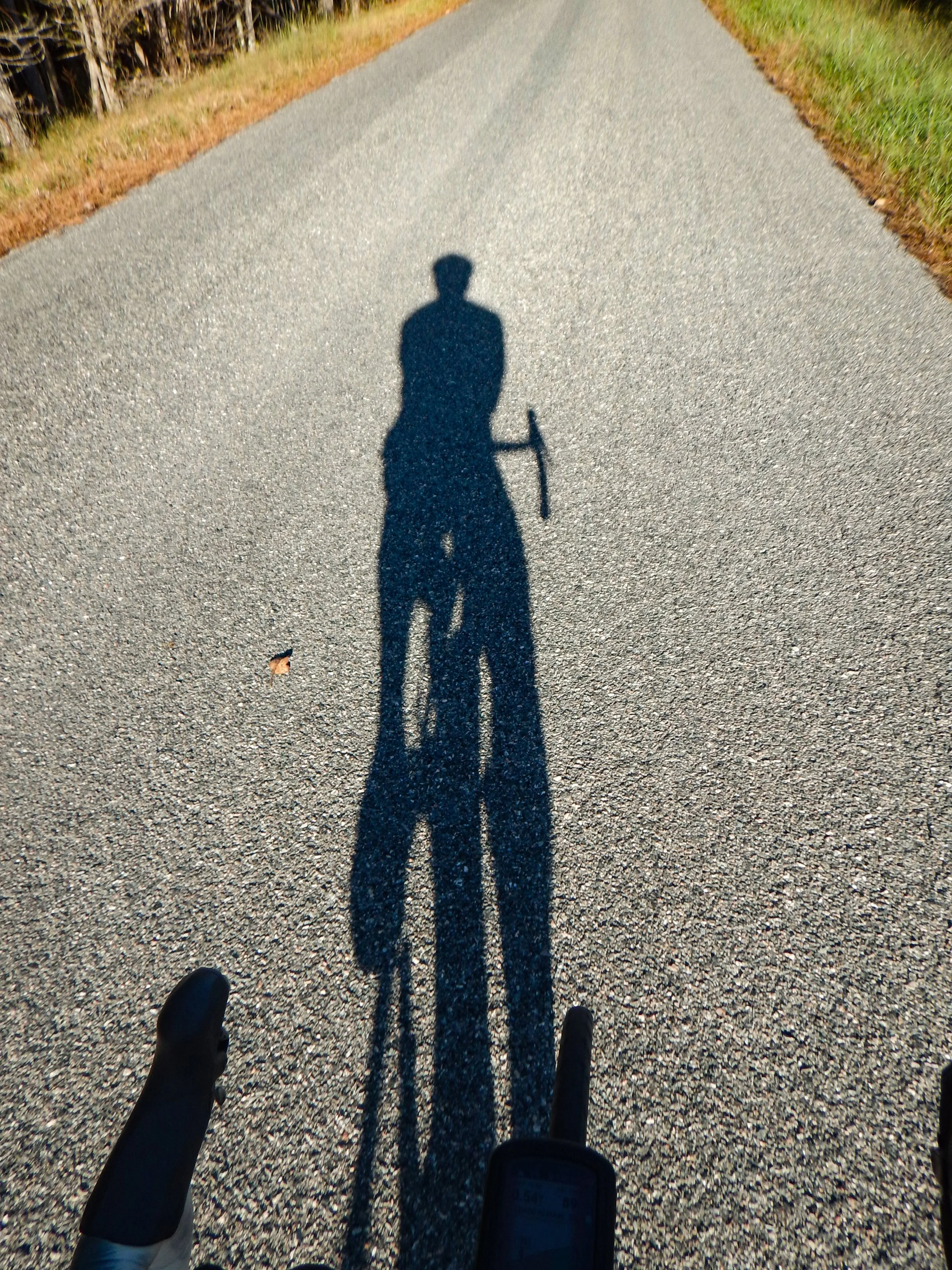 Sun to our backs as we head out of Crewe