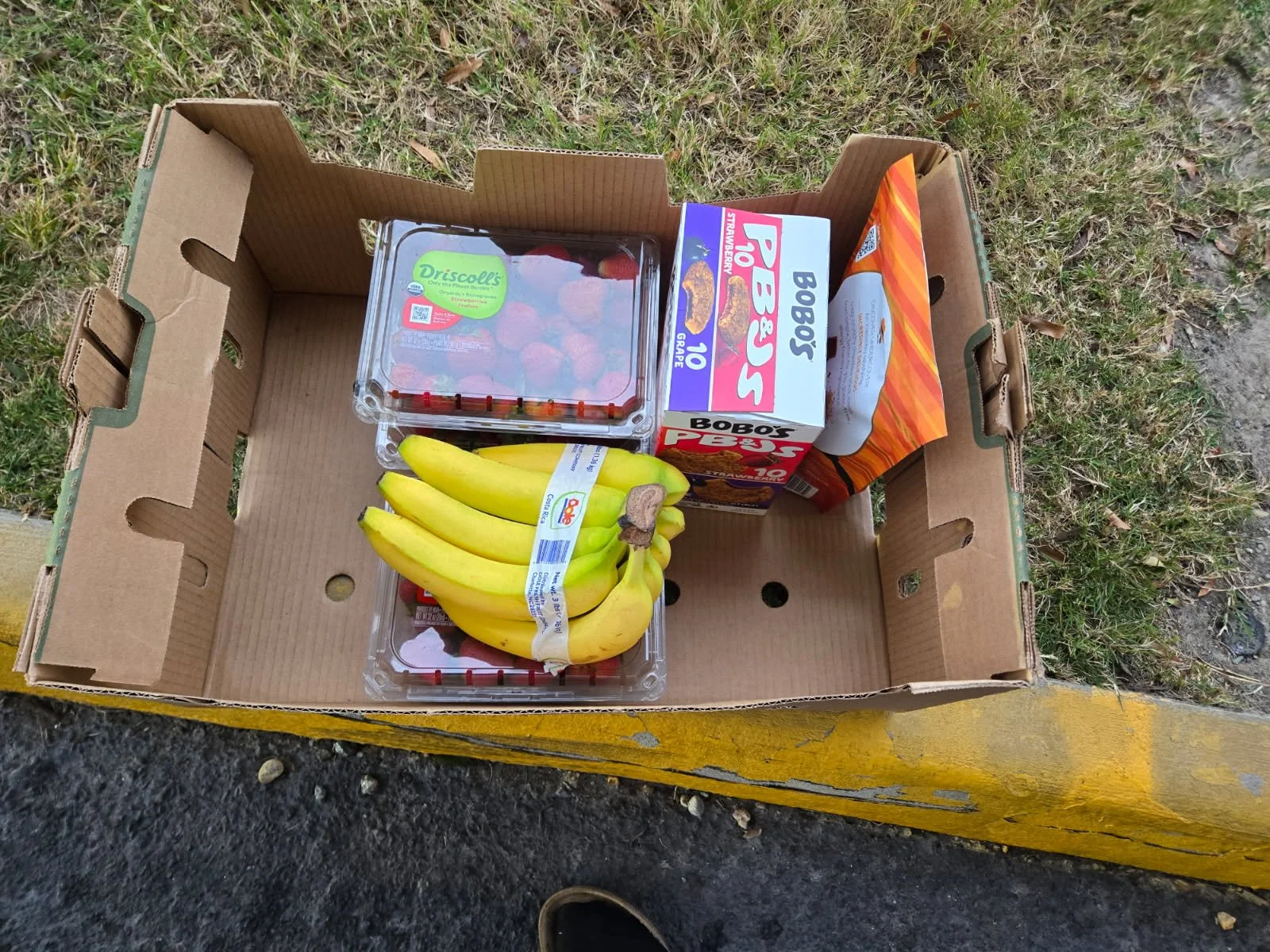 Gift from Gary Jones