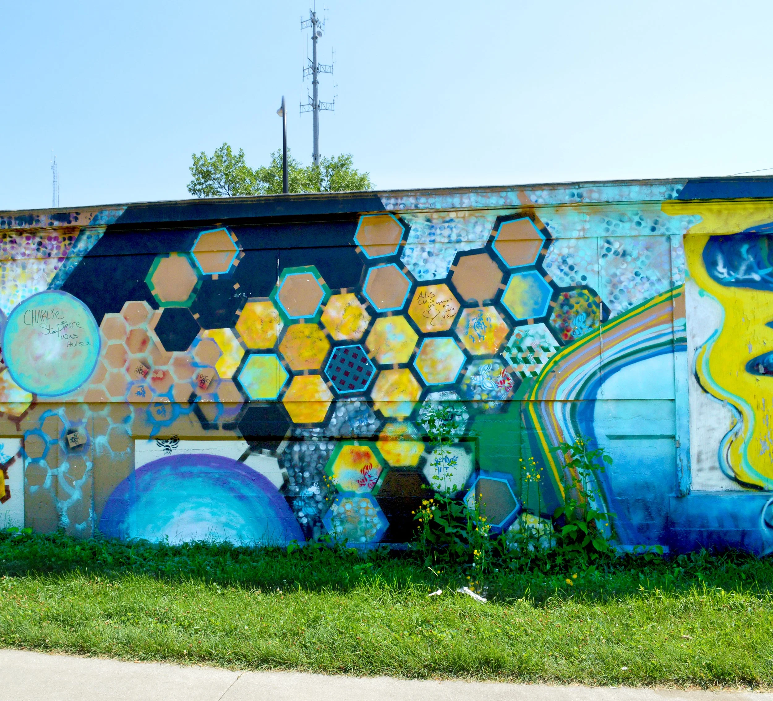 img-biz-Bees-Covid.jpg