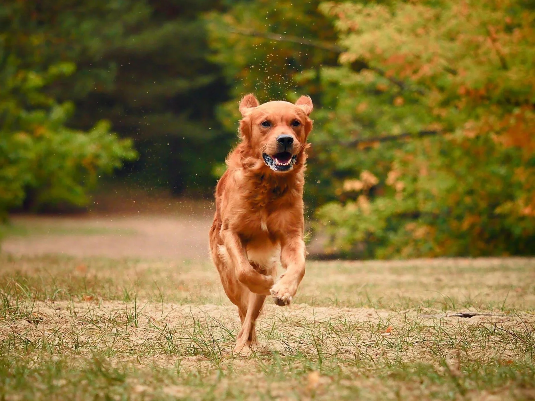 Bewegung und Verhalten - ein oft unterschätzter Zusammenhang