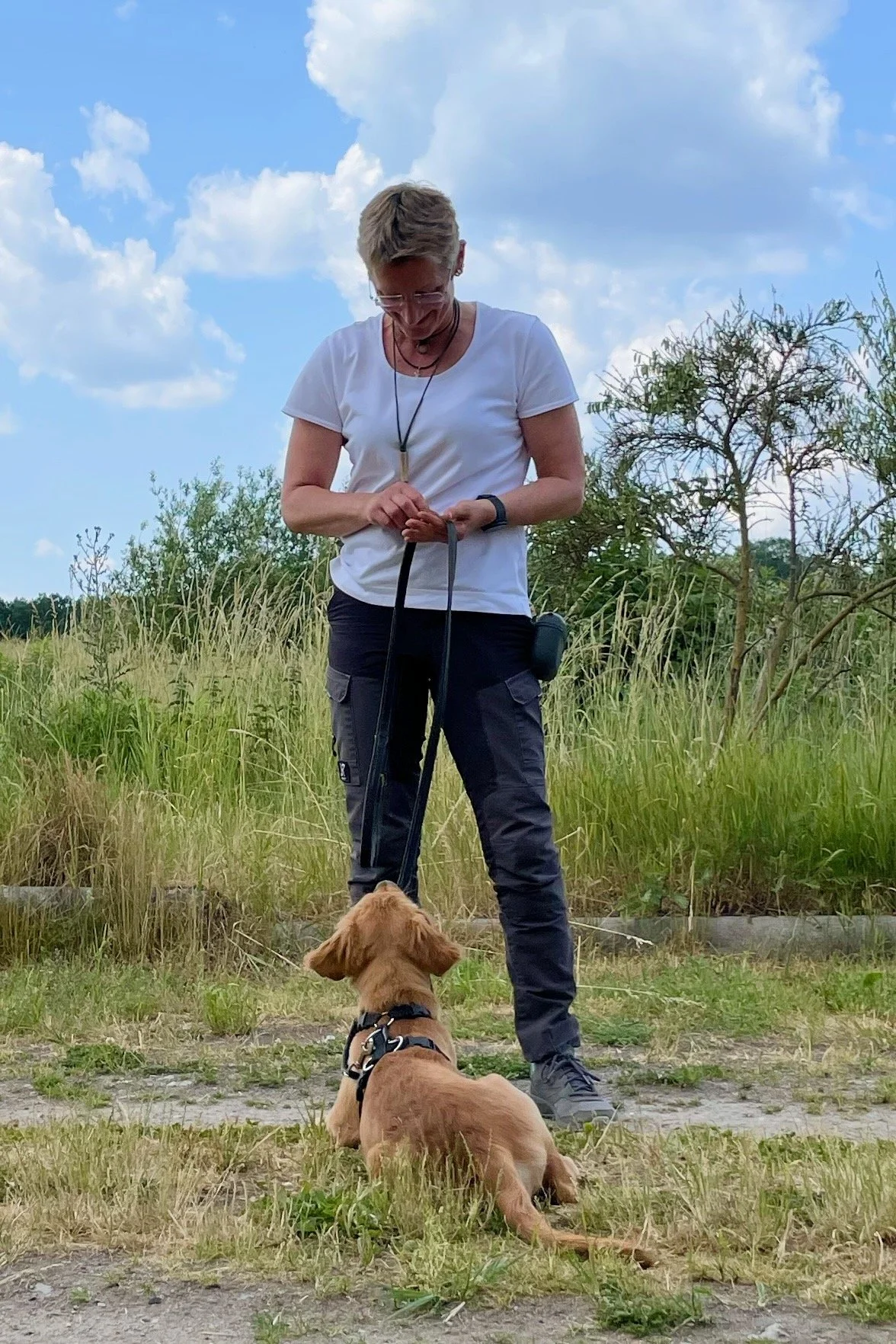 Frau trainiert einen kleinen Hund auf einer Wiese