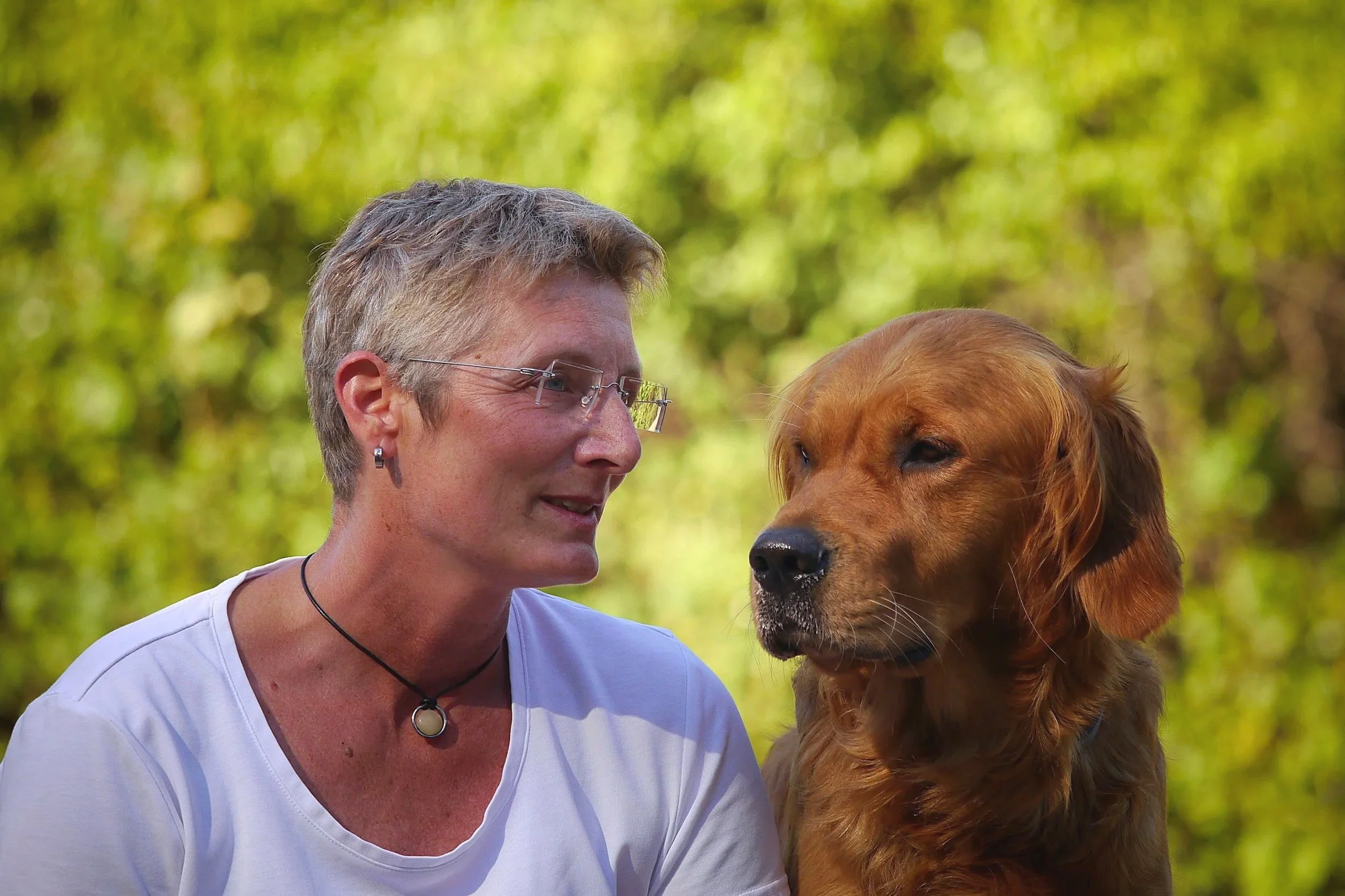 Mensch und Hund in ruhigem Kontakt – vertrauensvolle Beziehung als Grundlage der Verhaltensberatung.