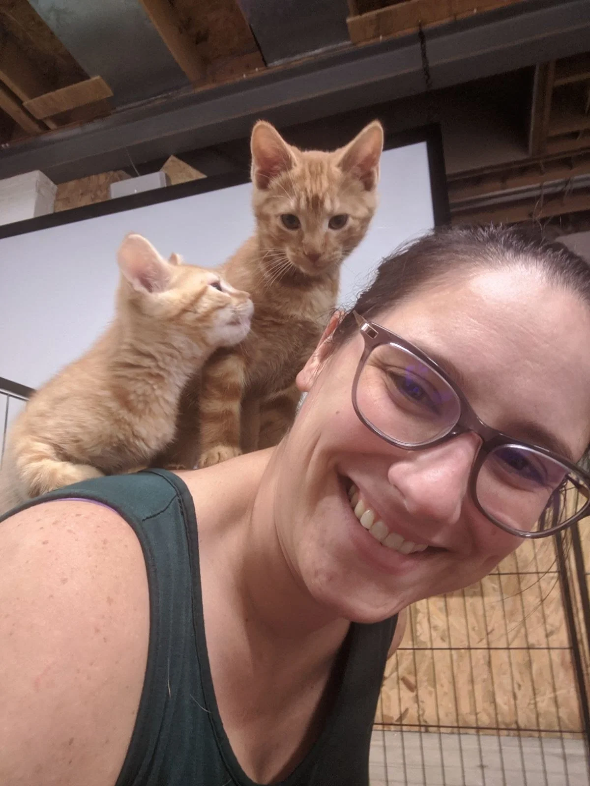 image_123650291 (6).JPG