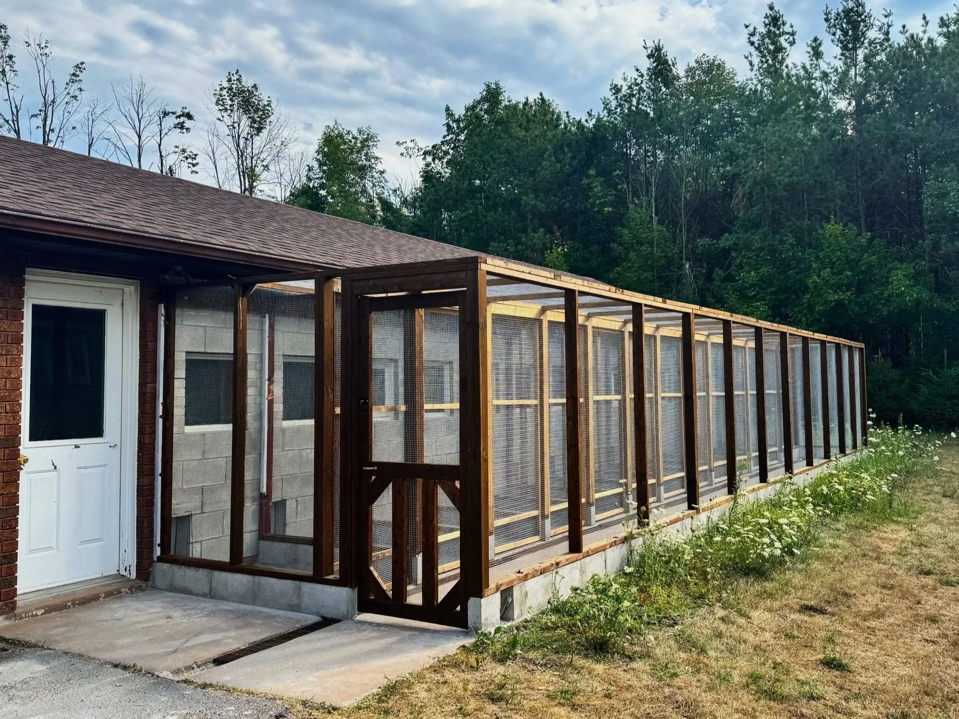 Cattery Renovation