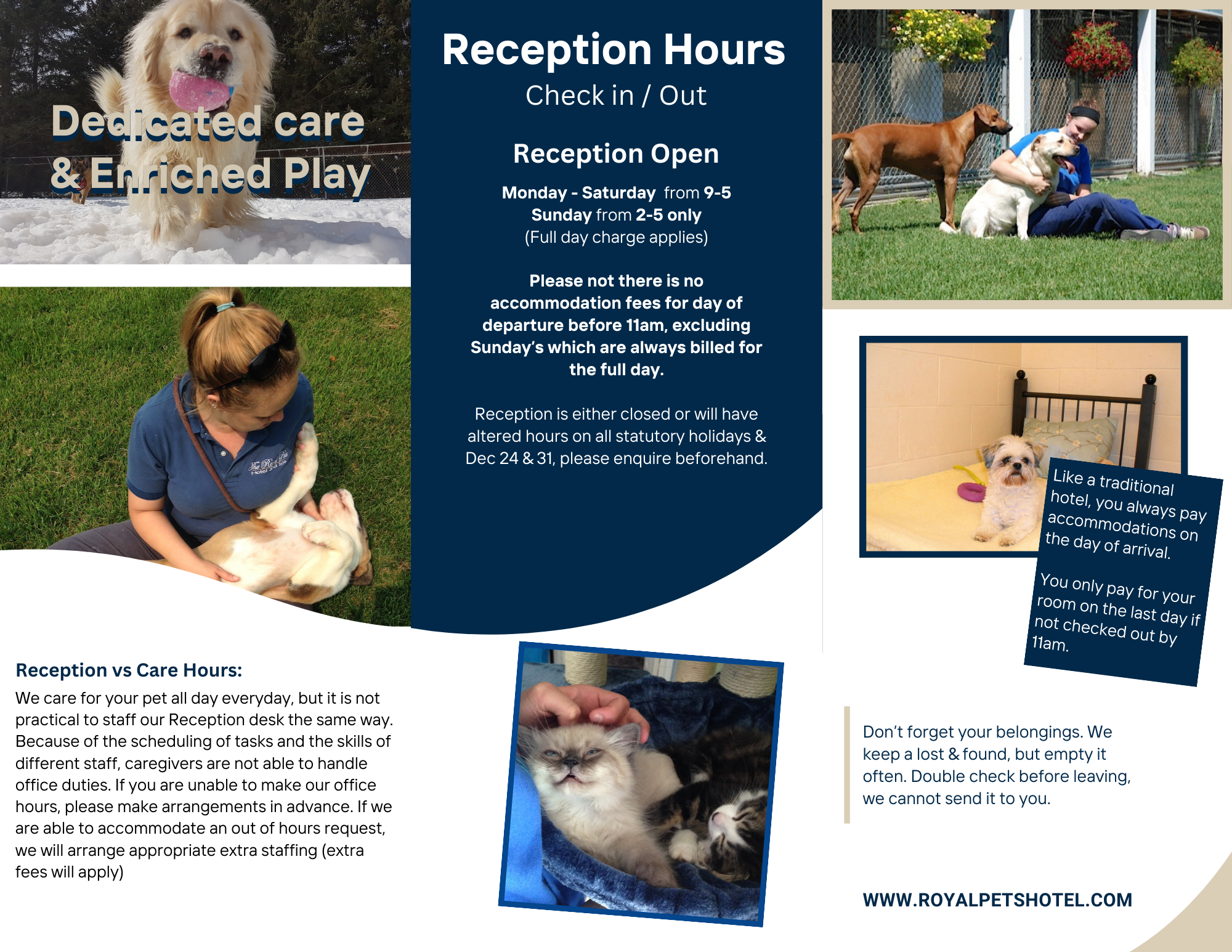 Add a little bit of body text - 2 (1).PNG