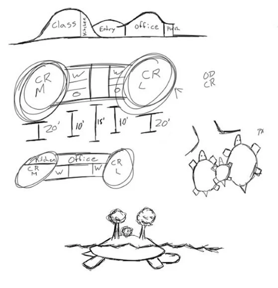 Turtle_Ecology_Centre_sketches.jpg