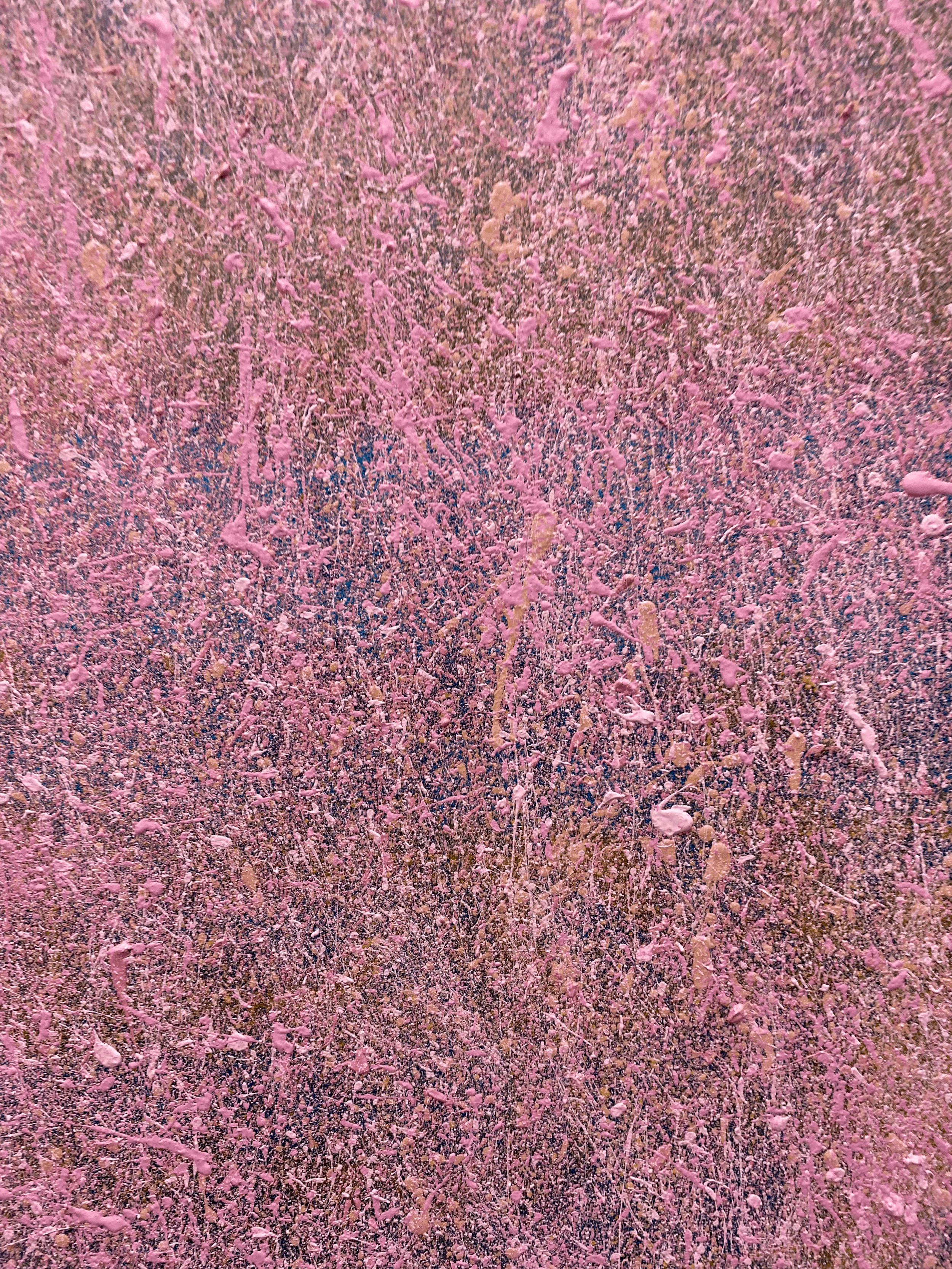 tempImage9U8h3O.gif