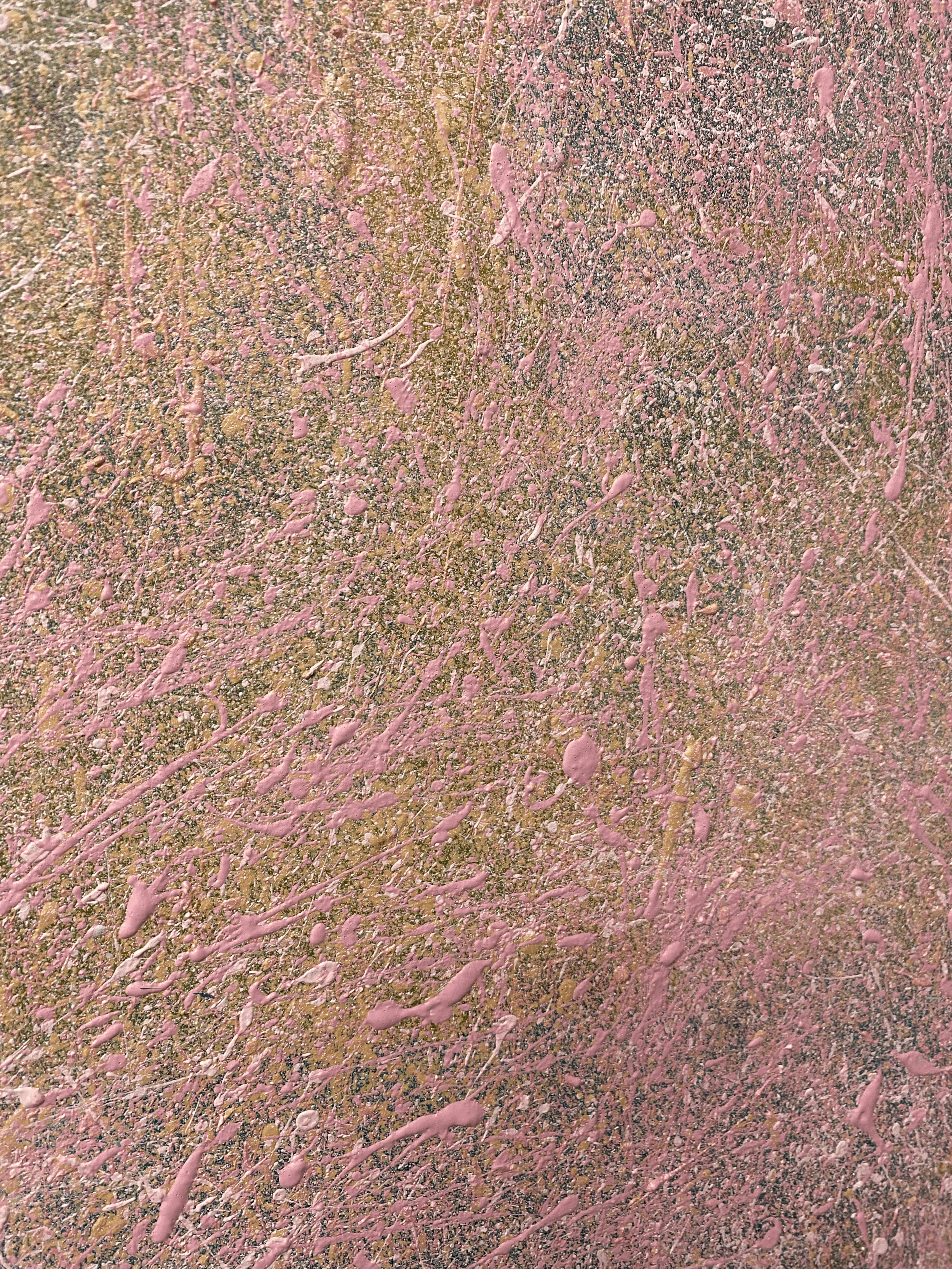 tempImagebD2P1D.gif