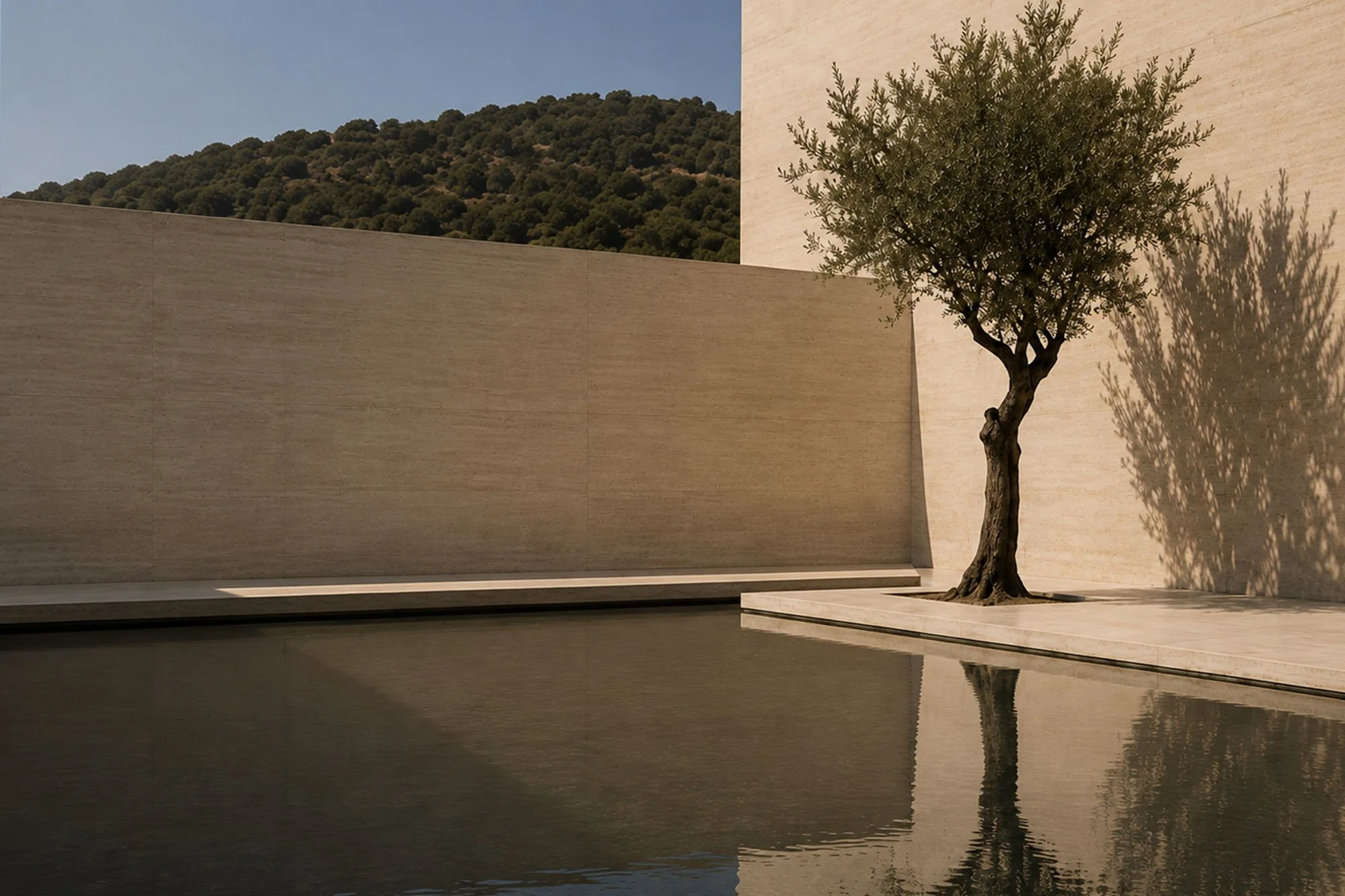 Olive tree reflected in still water within a minimalist travertine courtyard shaped by natural light and shadow.