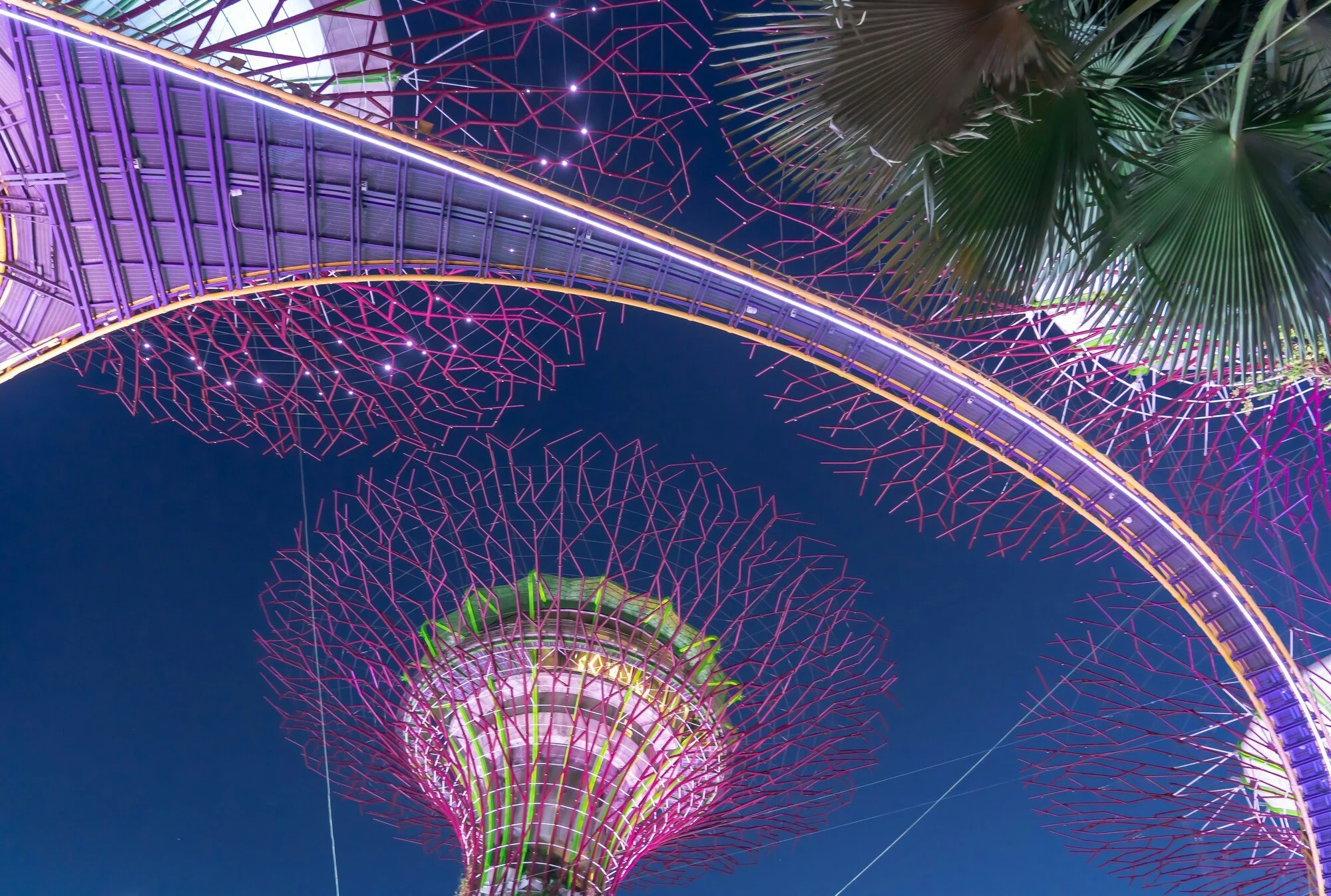 Supertree Grove Singapore