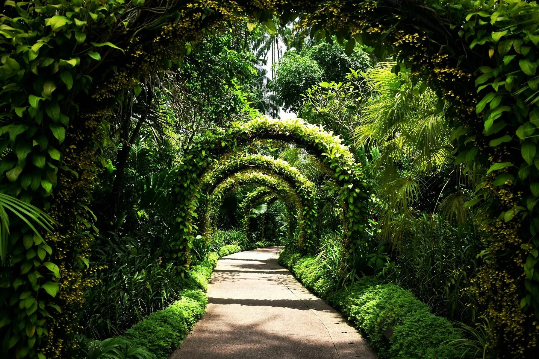 Botanic Gardens Singapore