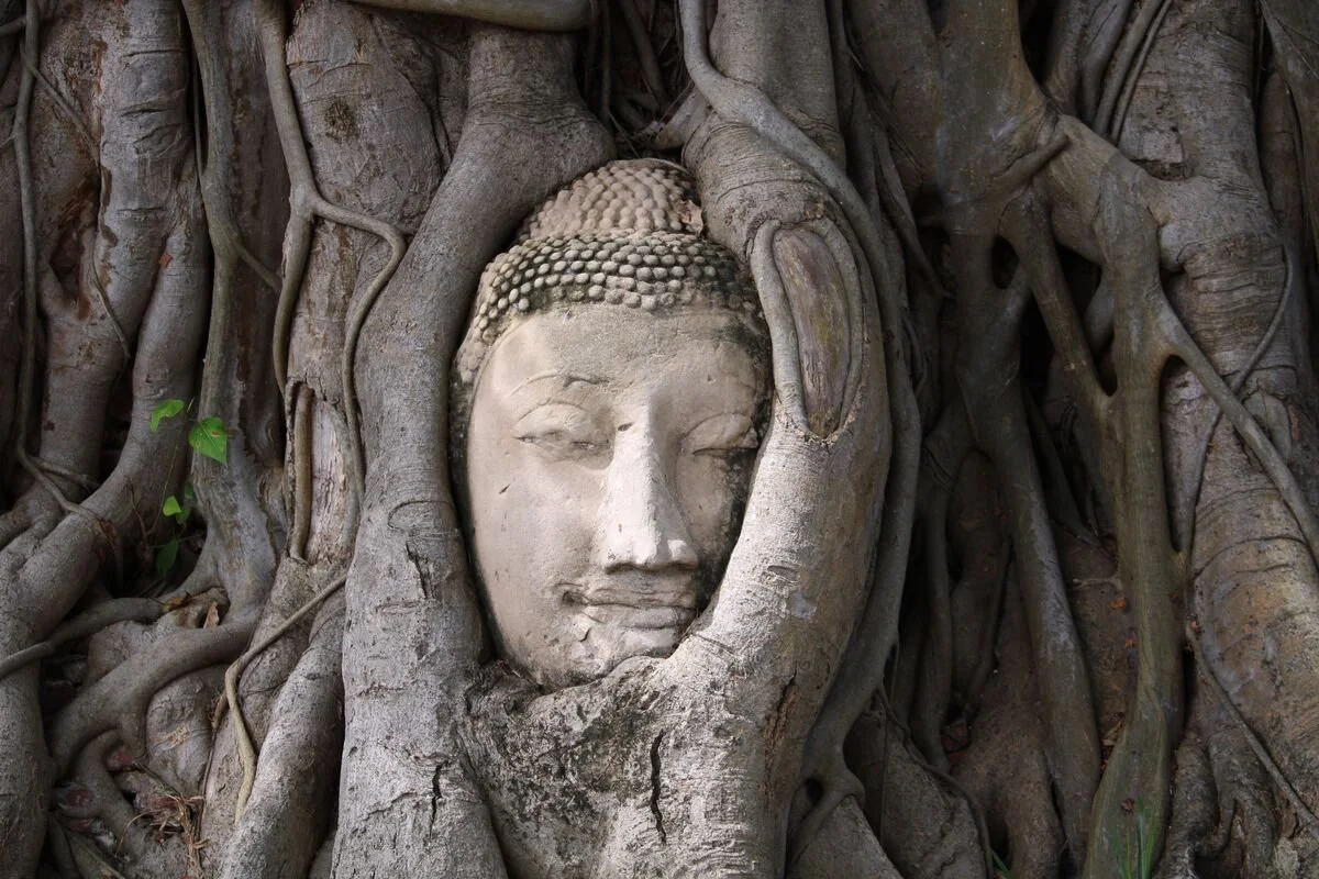 Ayutthaya Closeup