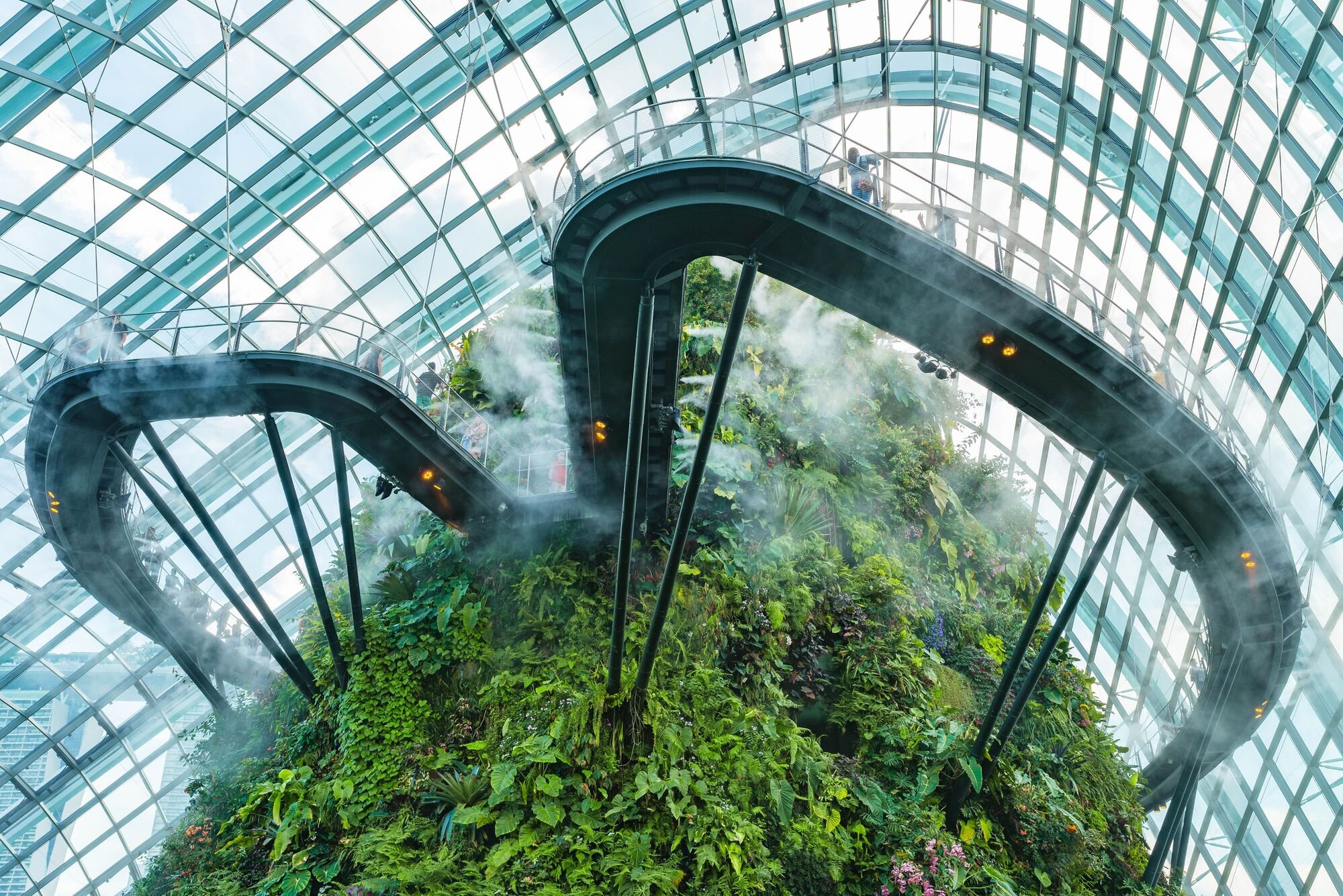 Cloud Forest Walkway Singapore