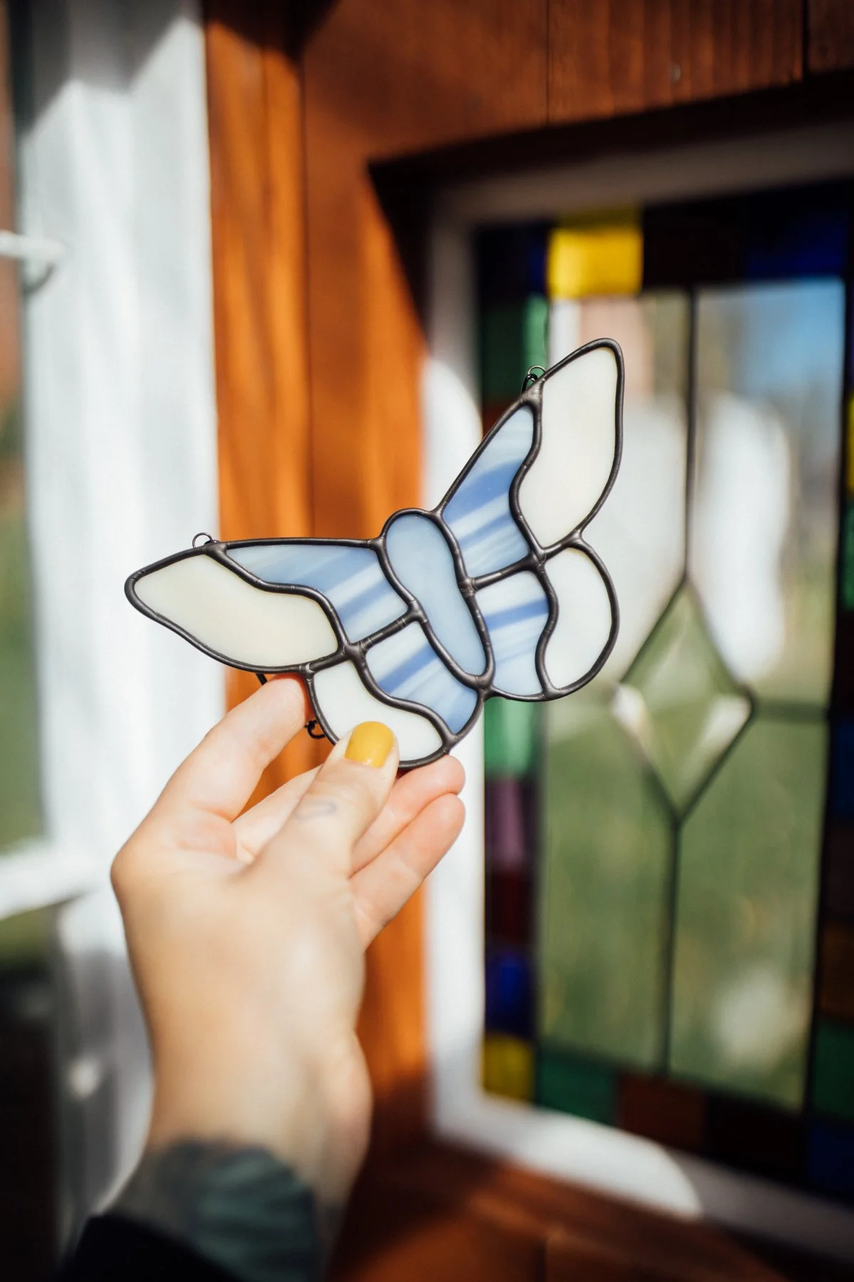 blue moth - mini
