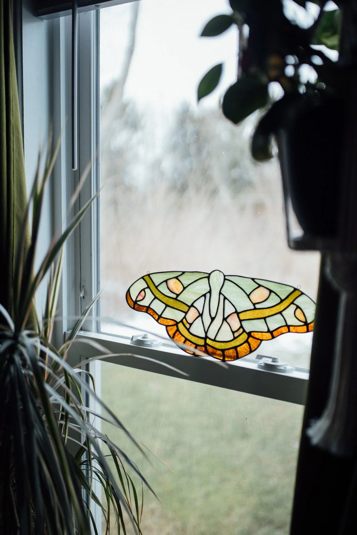 green + brown moth - xl