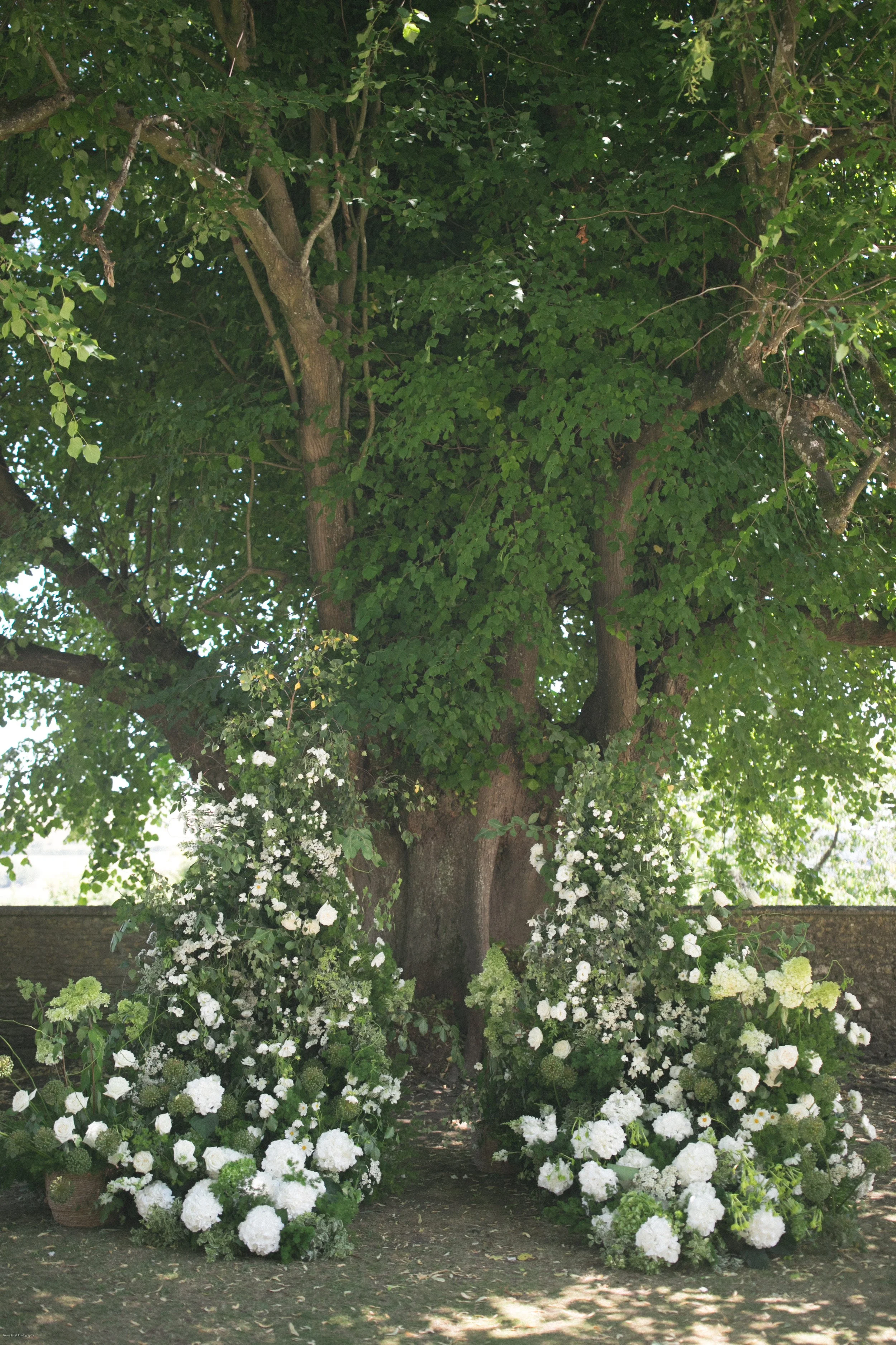 outdoor-wedding-ceremony-oak-tree-somerset-the-way-to-bloom.jpg