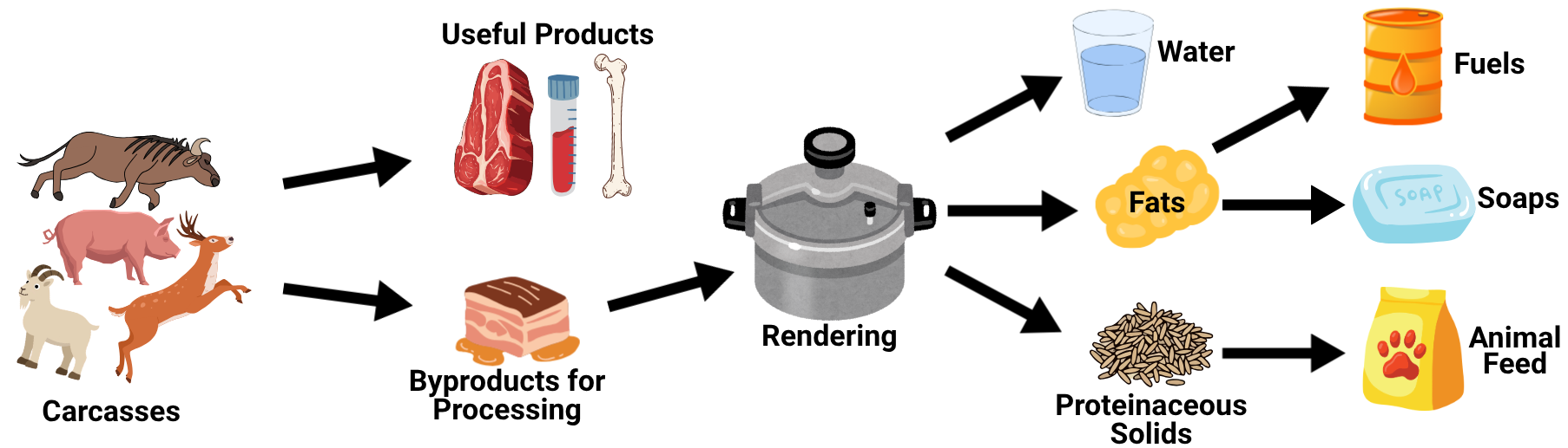 Diagram illustrating the process of converting animal carcasses into useful products like water, fuels, soaps, and animal feed, starting from carcasses to byproducts to rendering to the final products.