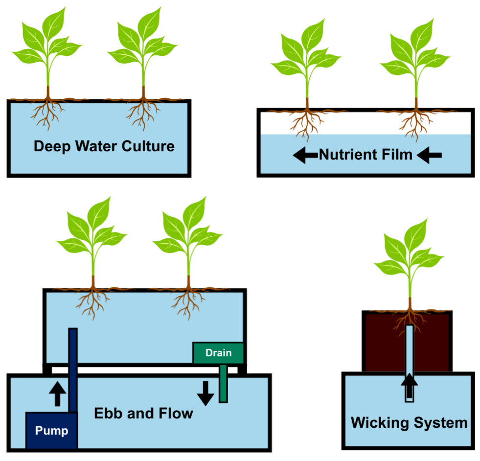 Diagram showing different hydroponic plant cultivation methods: deep water culture, nutrient film, ebb and flow, and wicking system, with plants growing in water and soil.