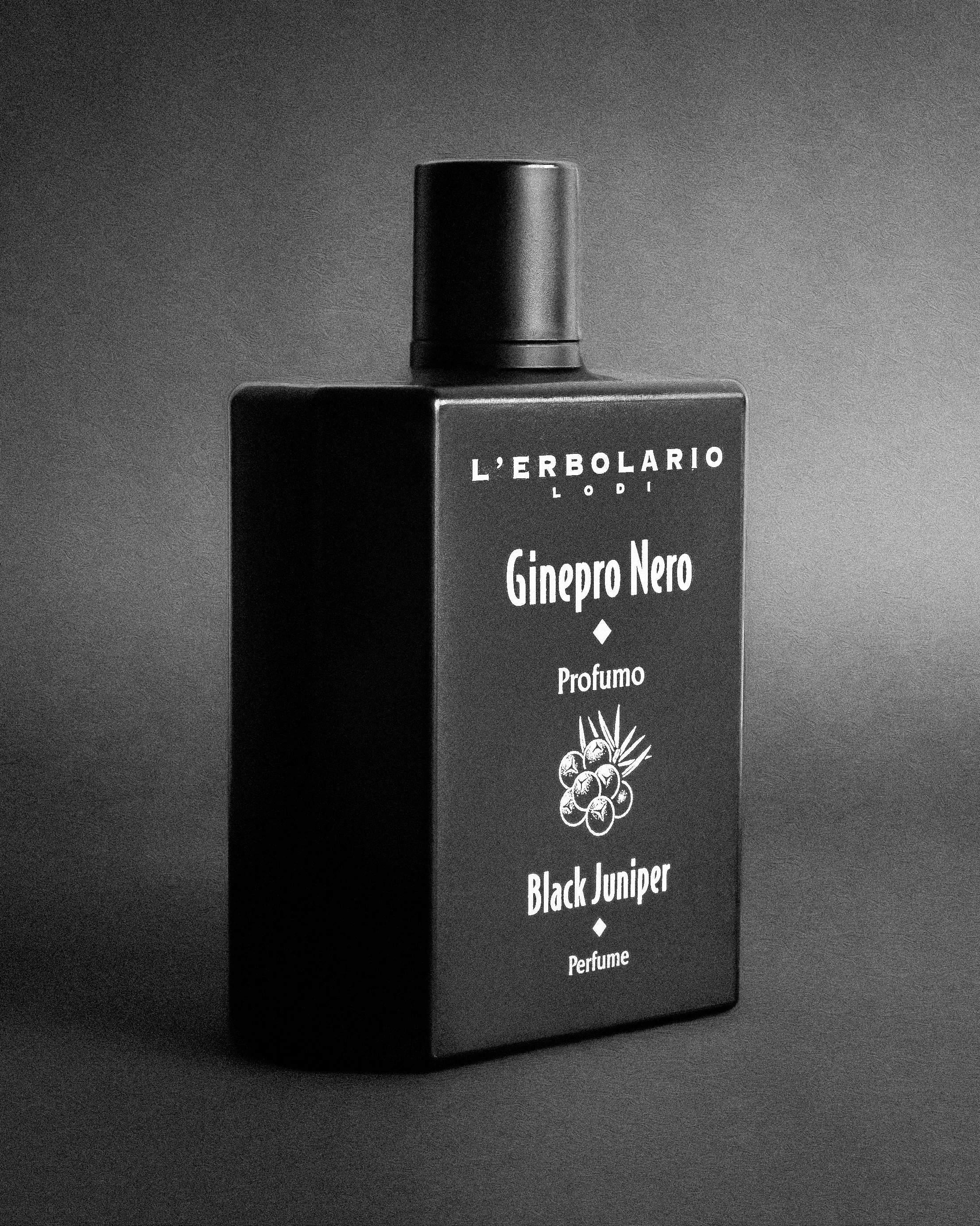 DSC06700mm3 copia.jpg