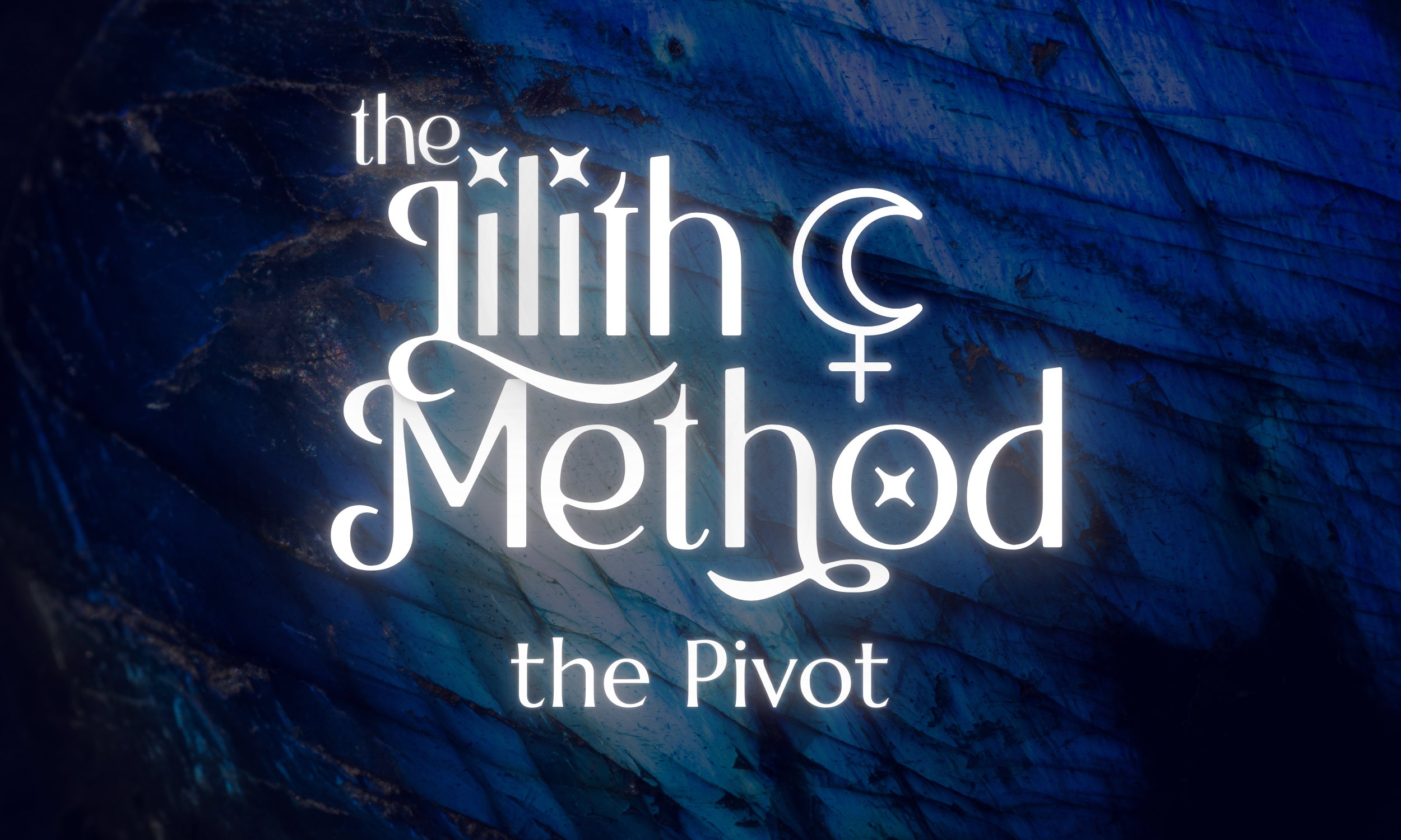 Devotion, Discipline &amp; the Pivot That Changed Everything