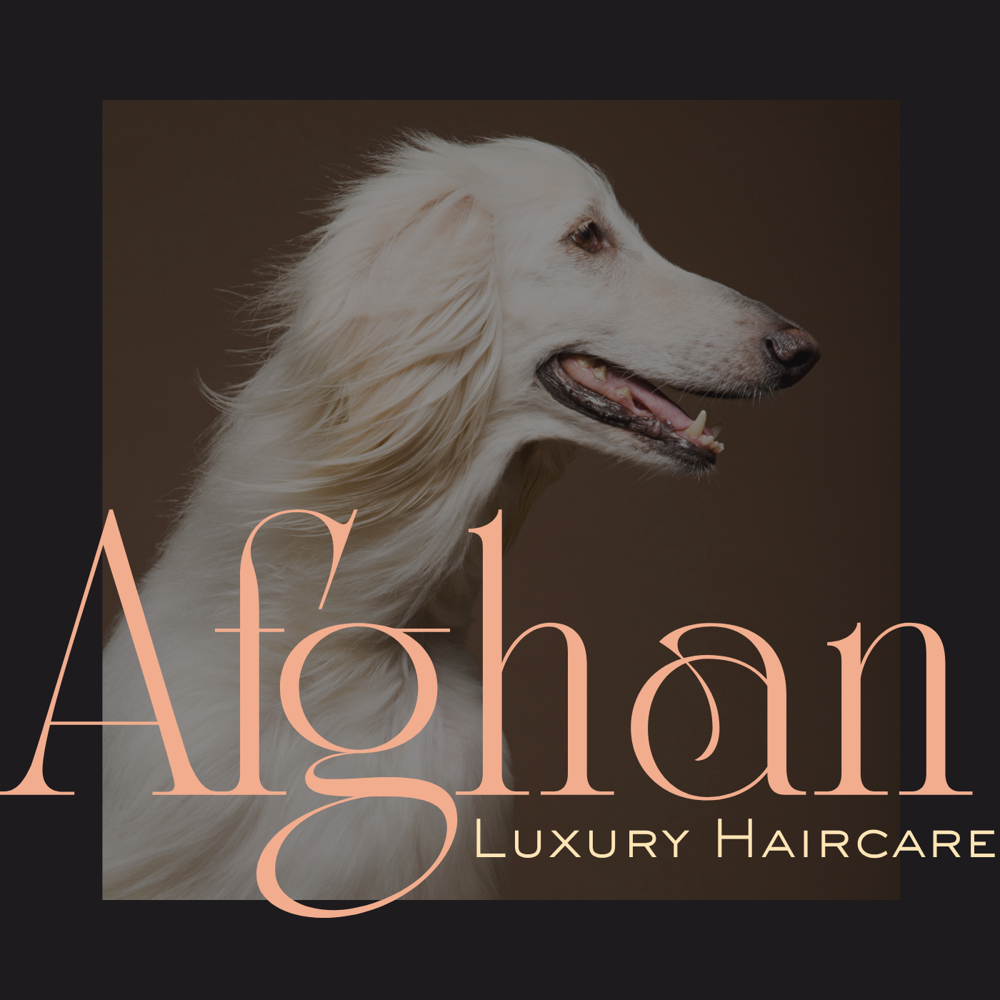 Afghan Luxury Haircare