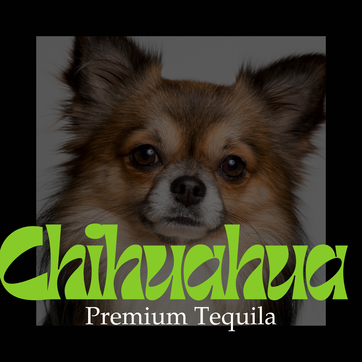 Chihuahua Tequila