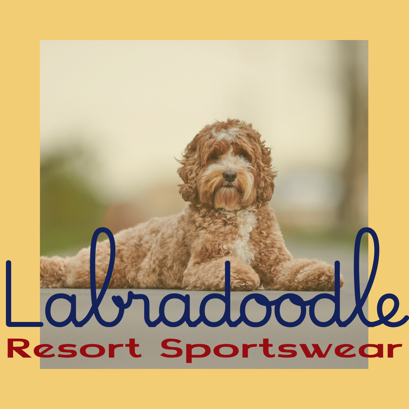 Labradoodle Resort Sportswear