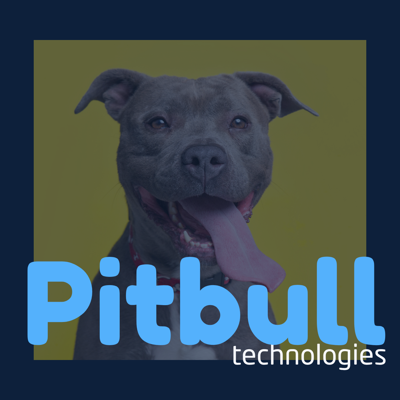Pitbull Technologies