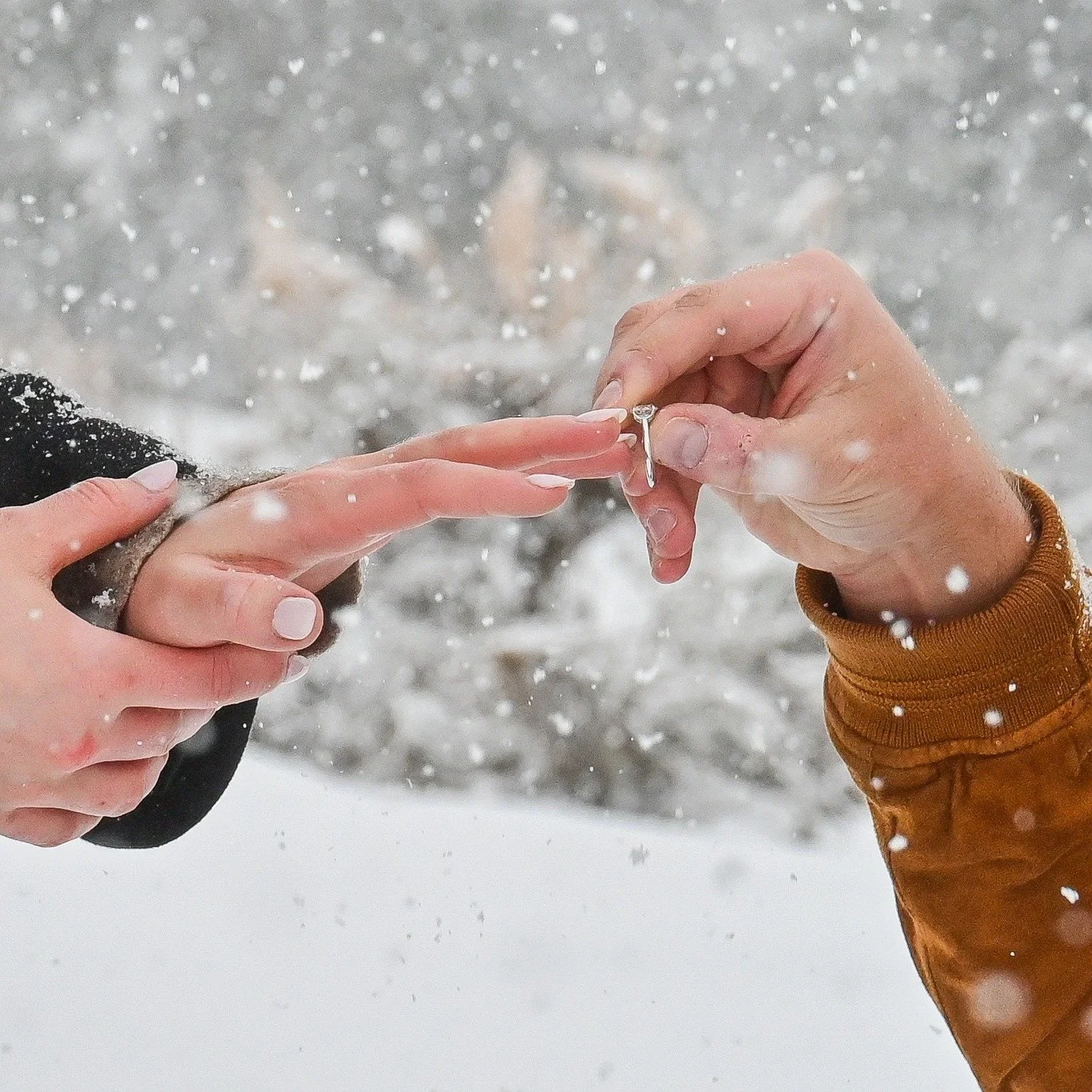 Love looks even better in the snow 🤍❄️
An unforgettable engagement at @@ritzcarltonbachelorgulch &mdash;quiet moments, fresh snowfall, and mountain magic doing what it does best.

If you&rsquo;re planning a Valentine&rsquo;s Day shoot or engagement 