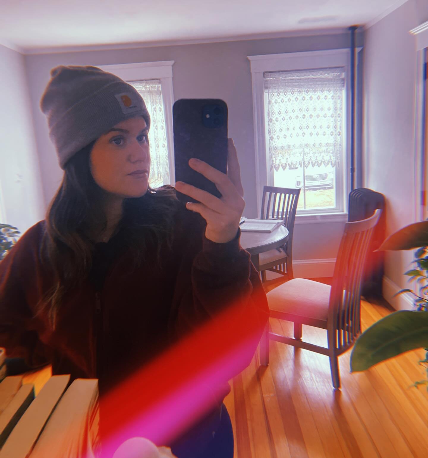 First trimester (Nov- early Jan) ✨