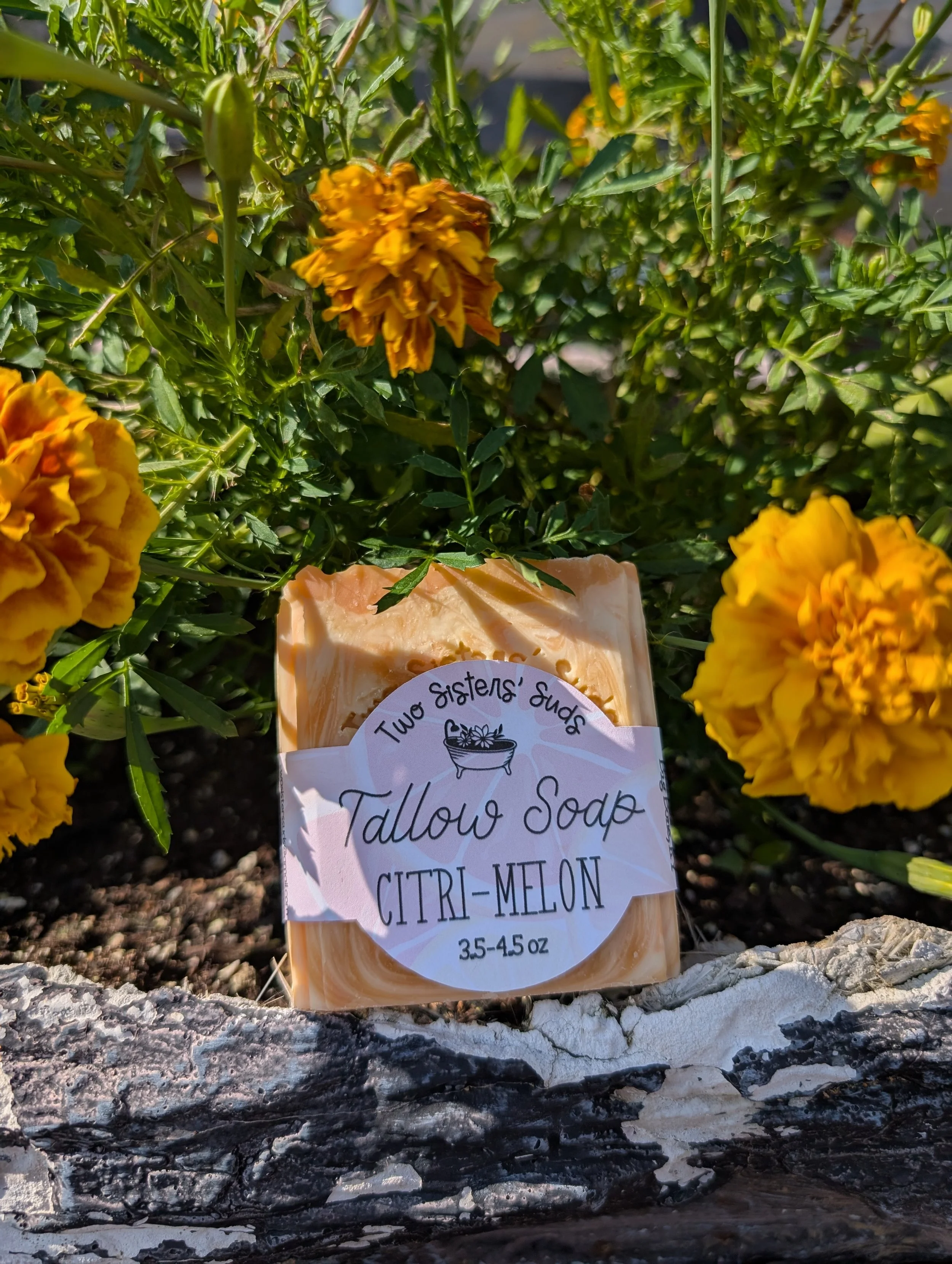 Citri-Melon Tallow Soap - KY