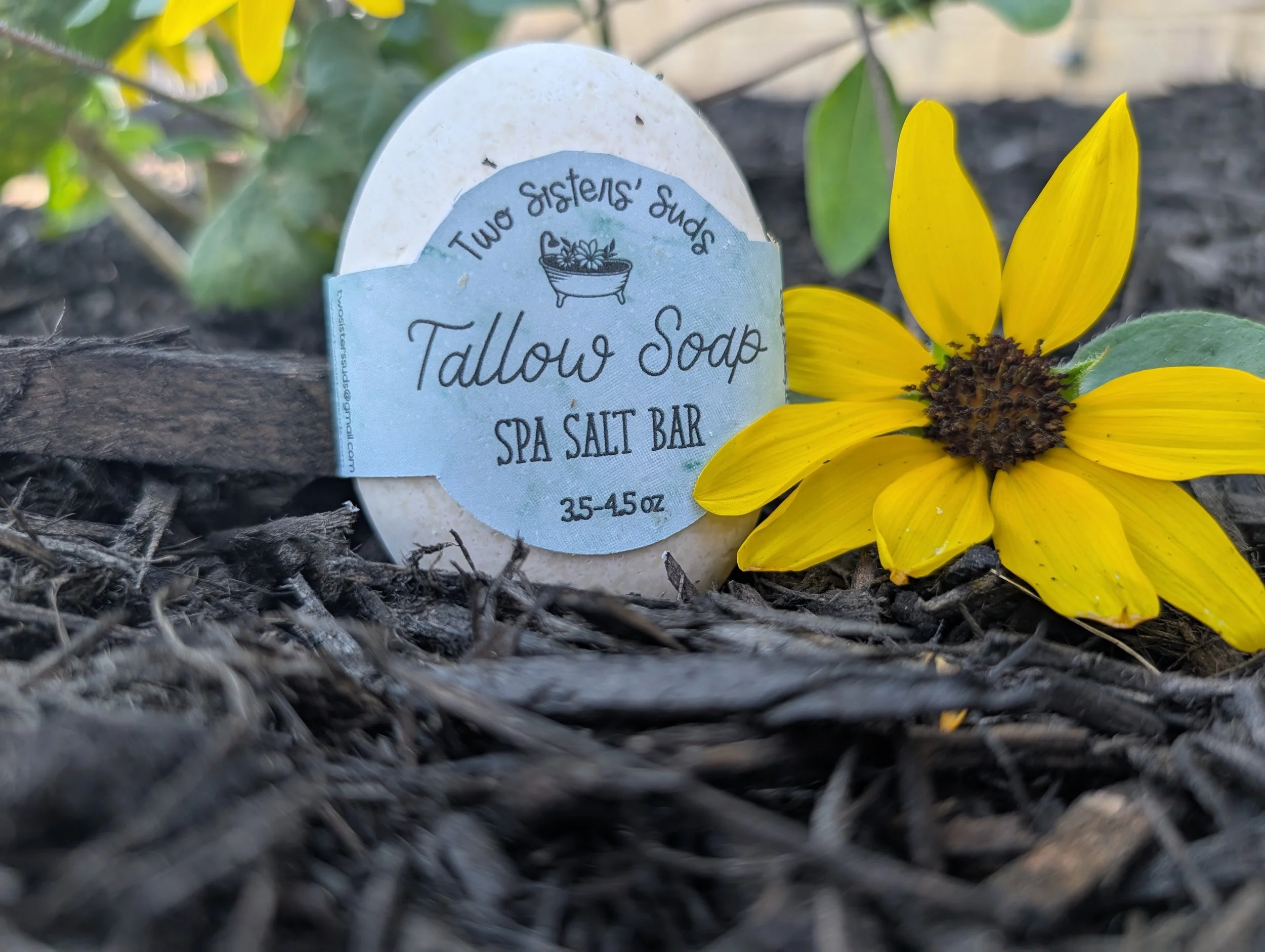 Salt Spa Tallow bar - KY