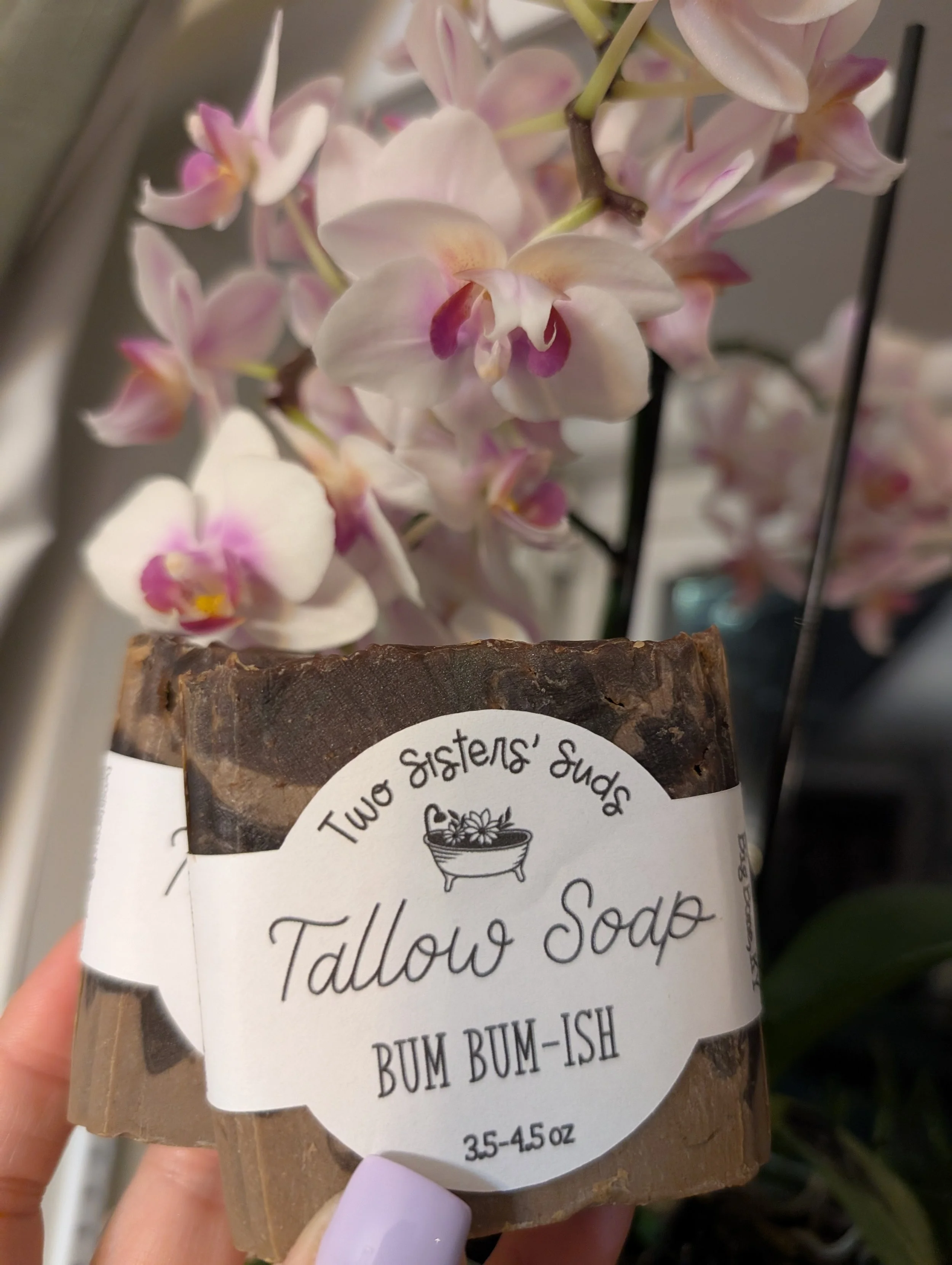 Bum Bum-ish Tallow Soap - KY