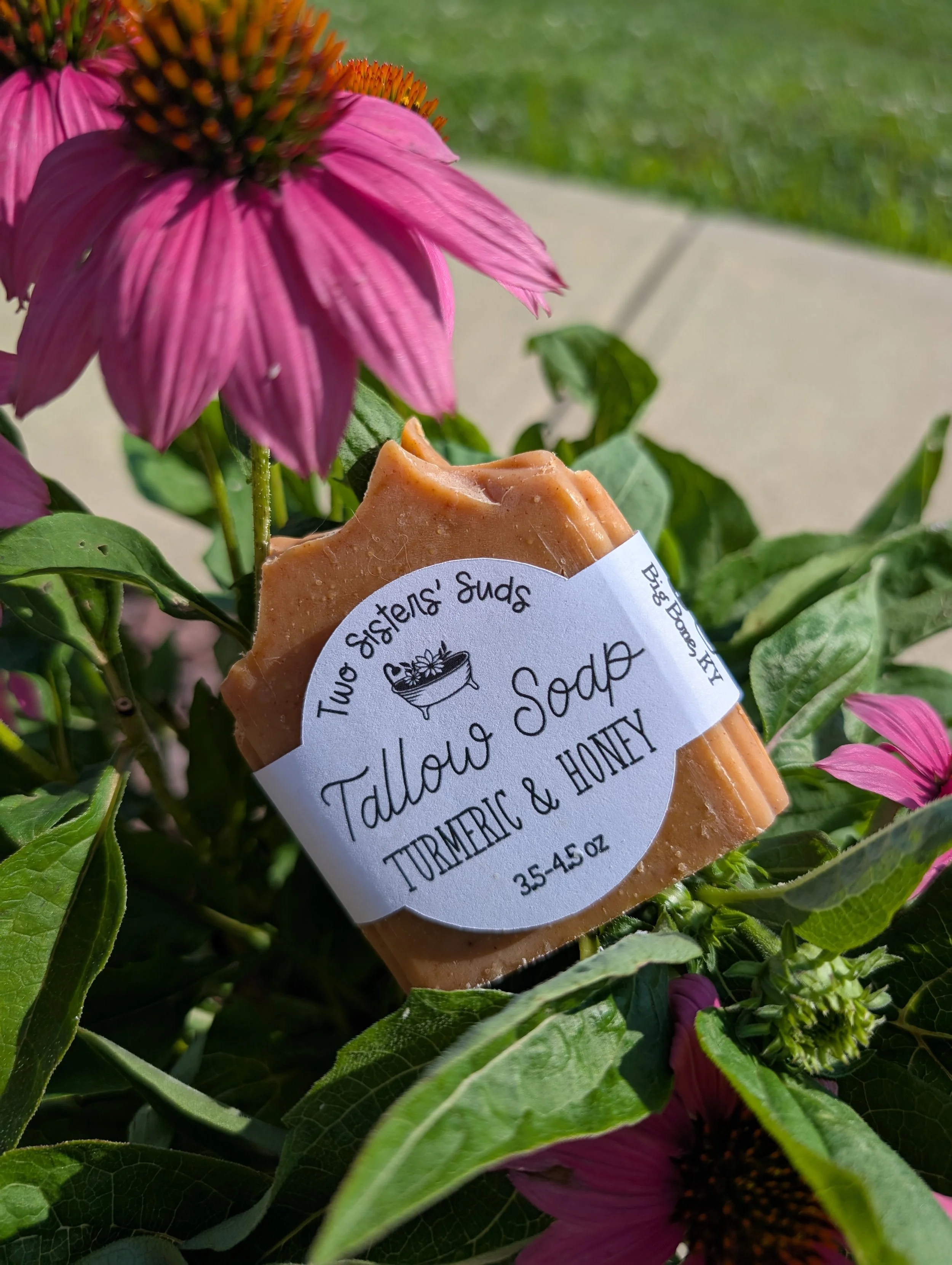 Turmeric & Honey Tallow Soap - KY