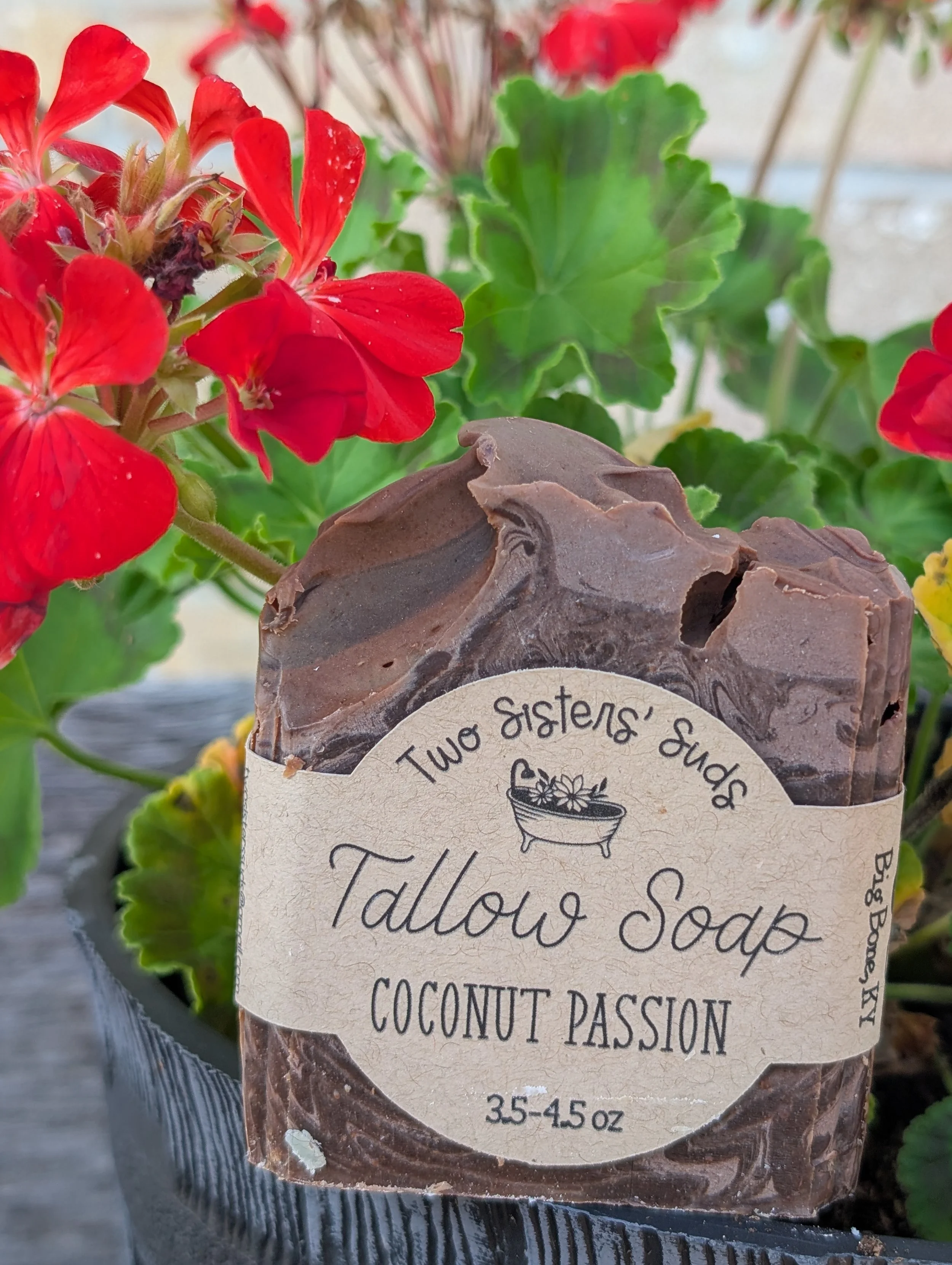 Coconut Passion Tallow Soap - KY