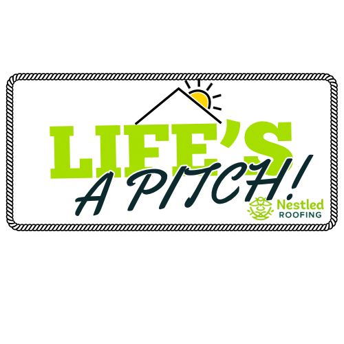 lifes a pitch.png