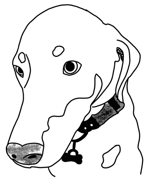 johns dog.png