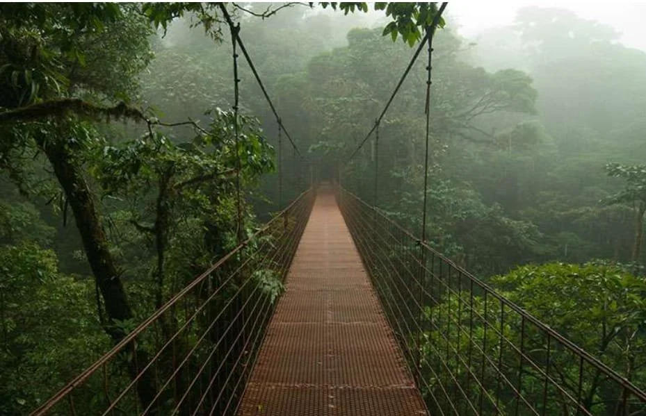 Imagen de WhatsApp 2025-08-22 a las 17.18.59_5844e561.jpg