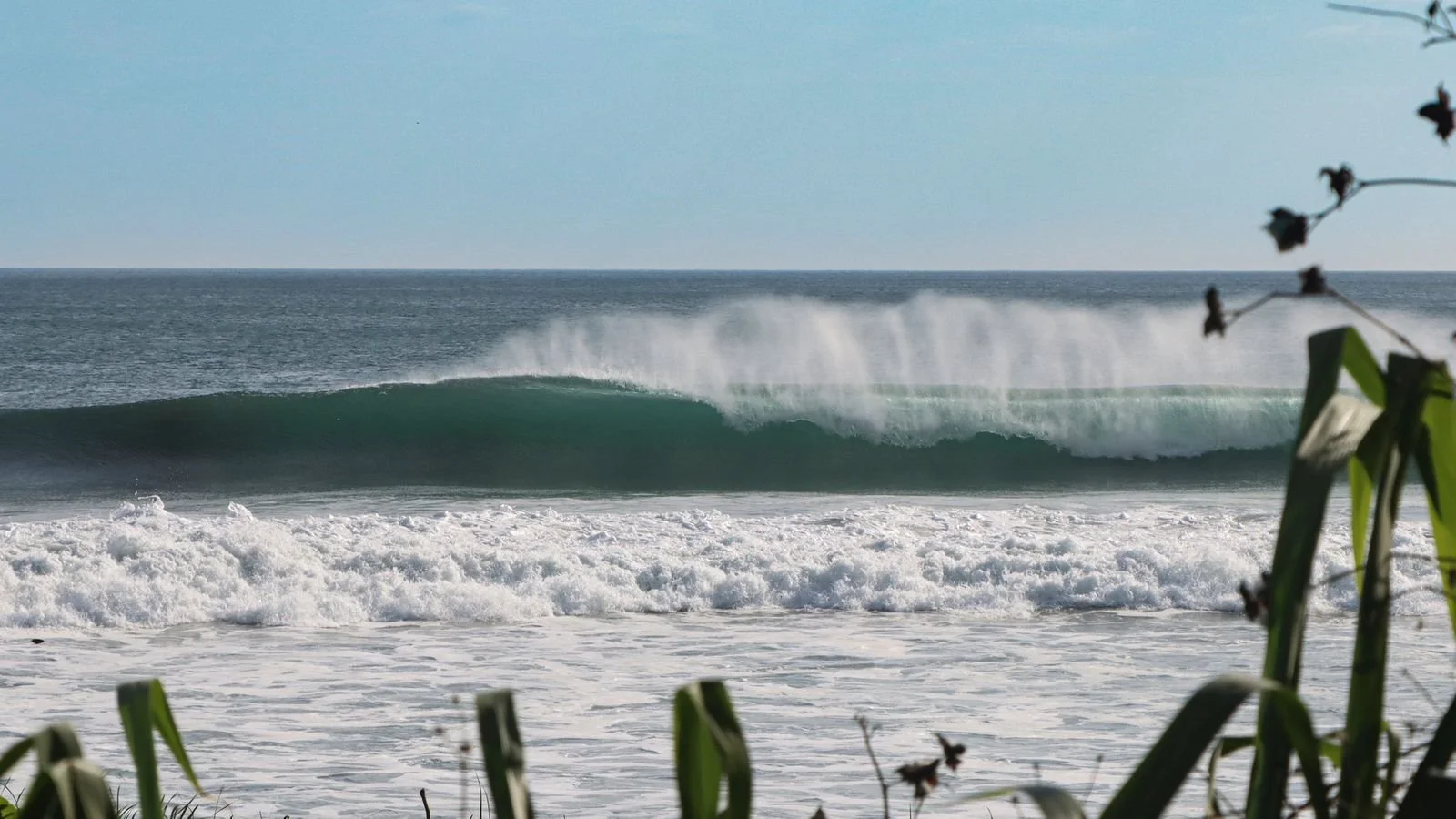Nosara Santa Teresa Shuttle.jpeg