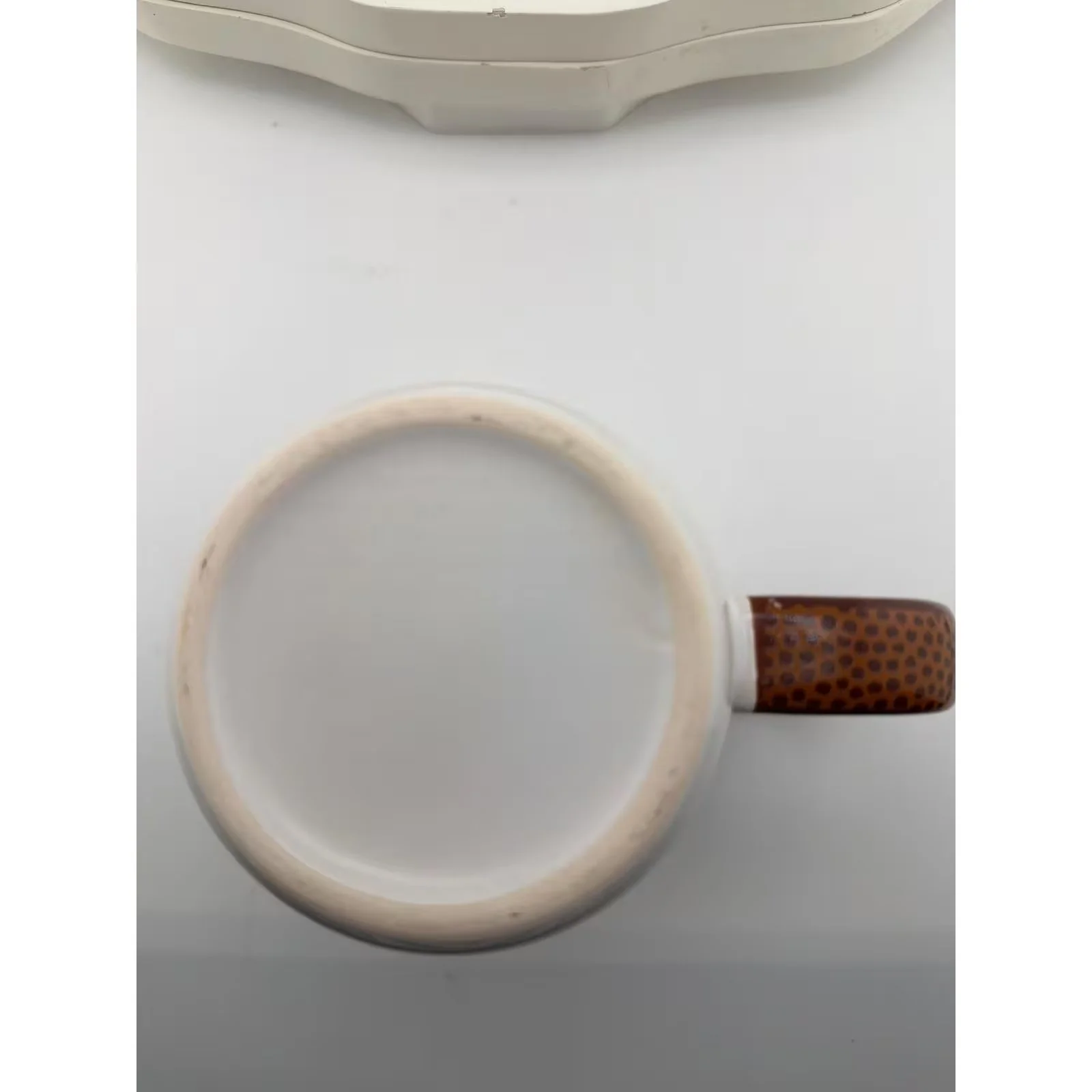 Florida Gators Albert Logo Blue Orange Ceramic Coffee Mug — photo 6 of 6