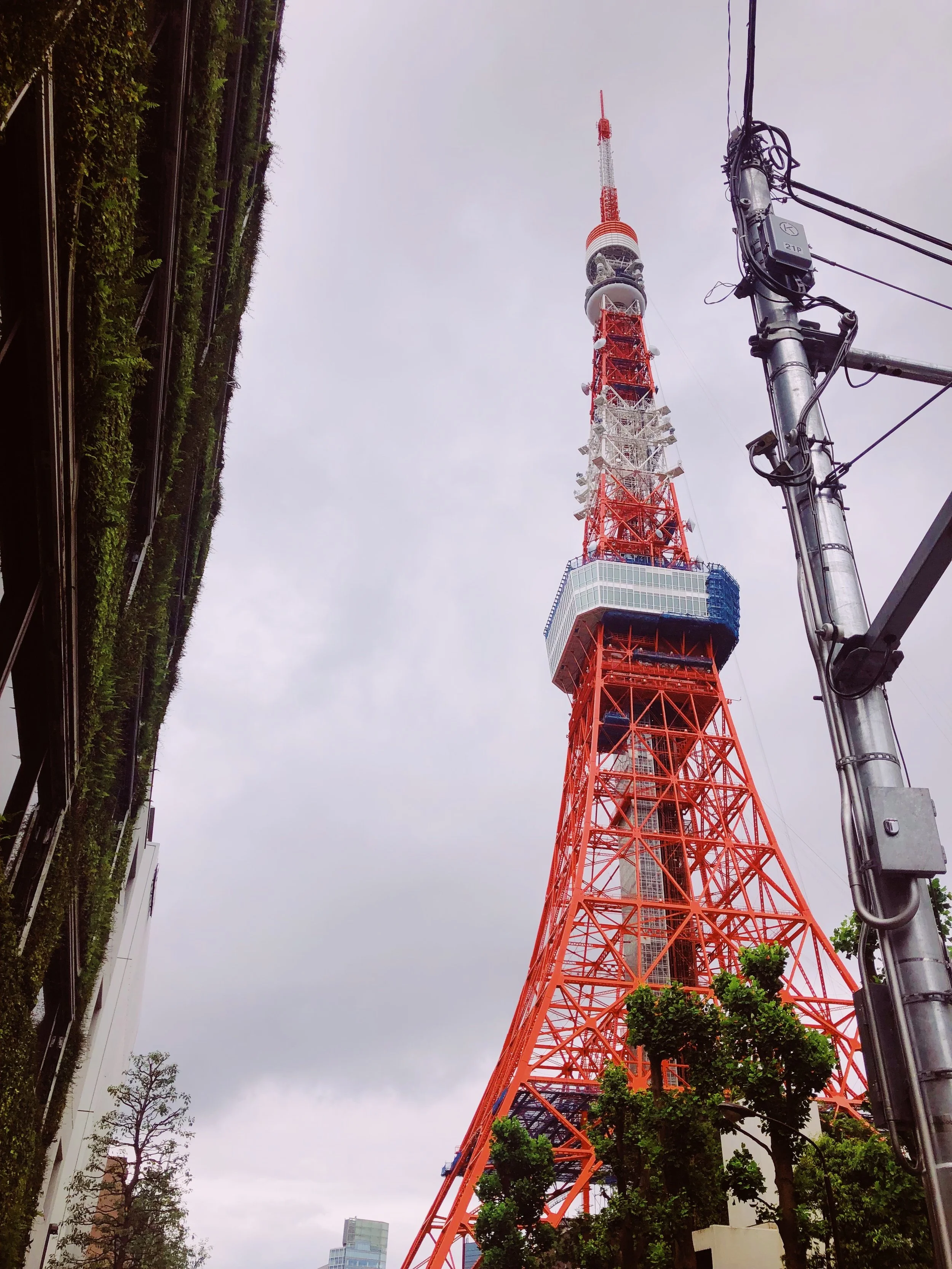 AB24B95B-5BEA-4E72-9CC7-461FAAEF6A9C.jpeg