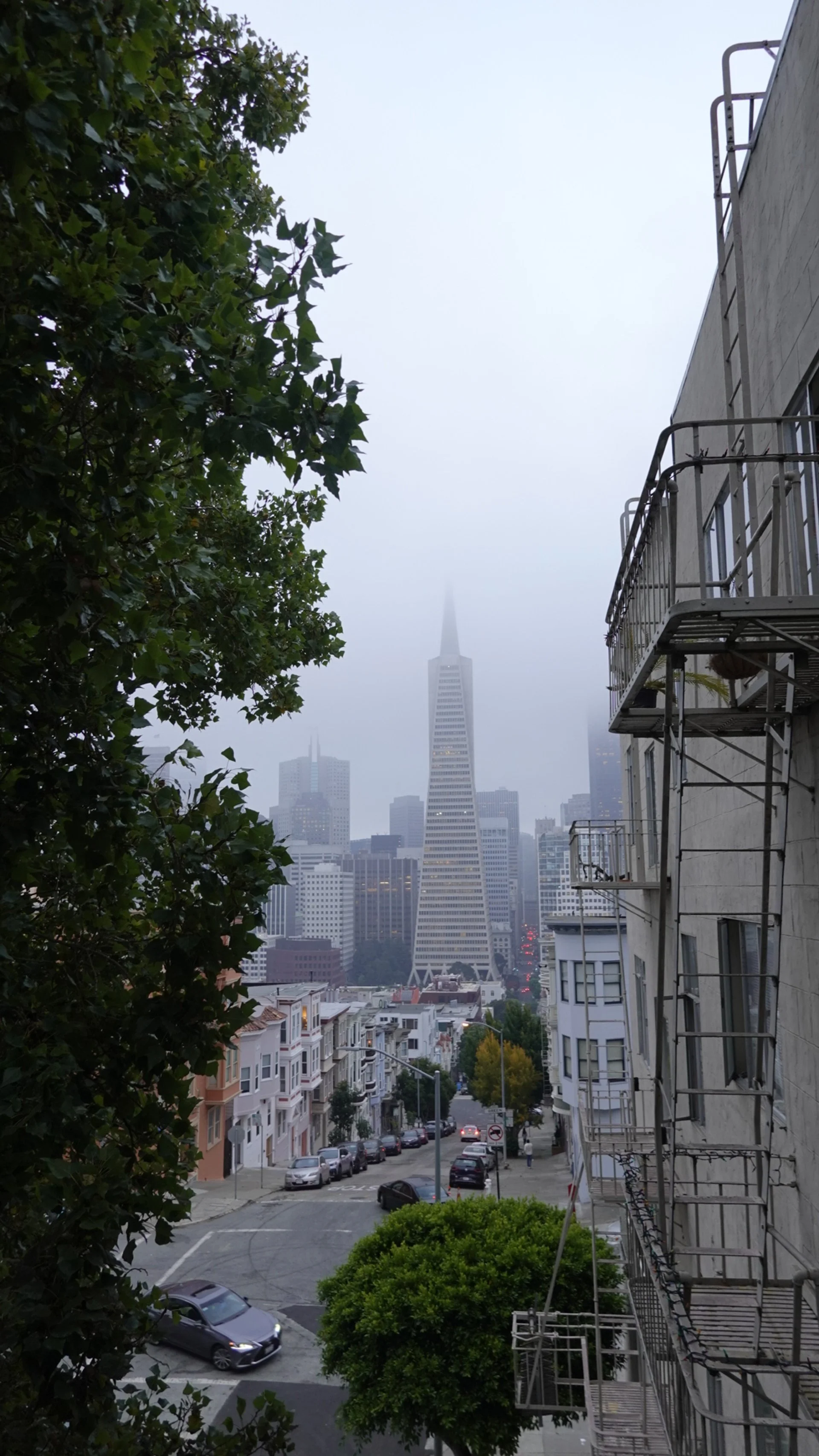 _DSC0695.jpeg