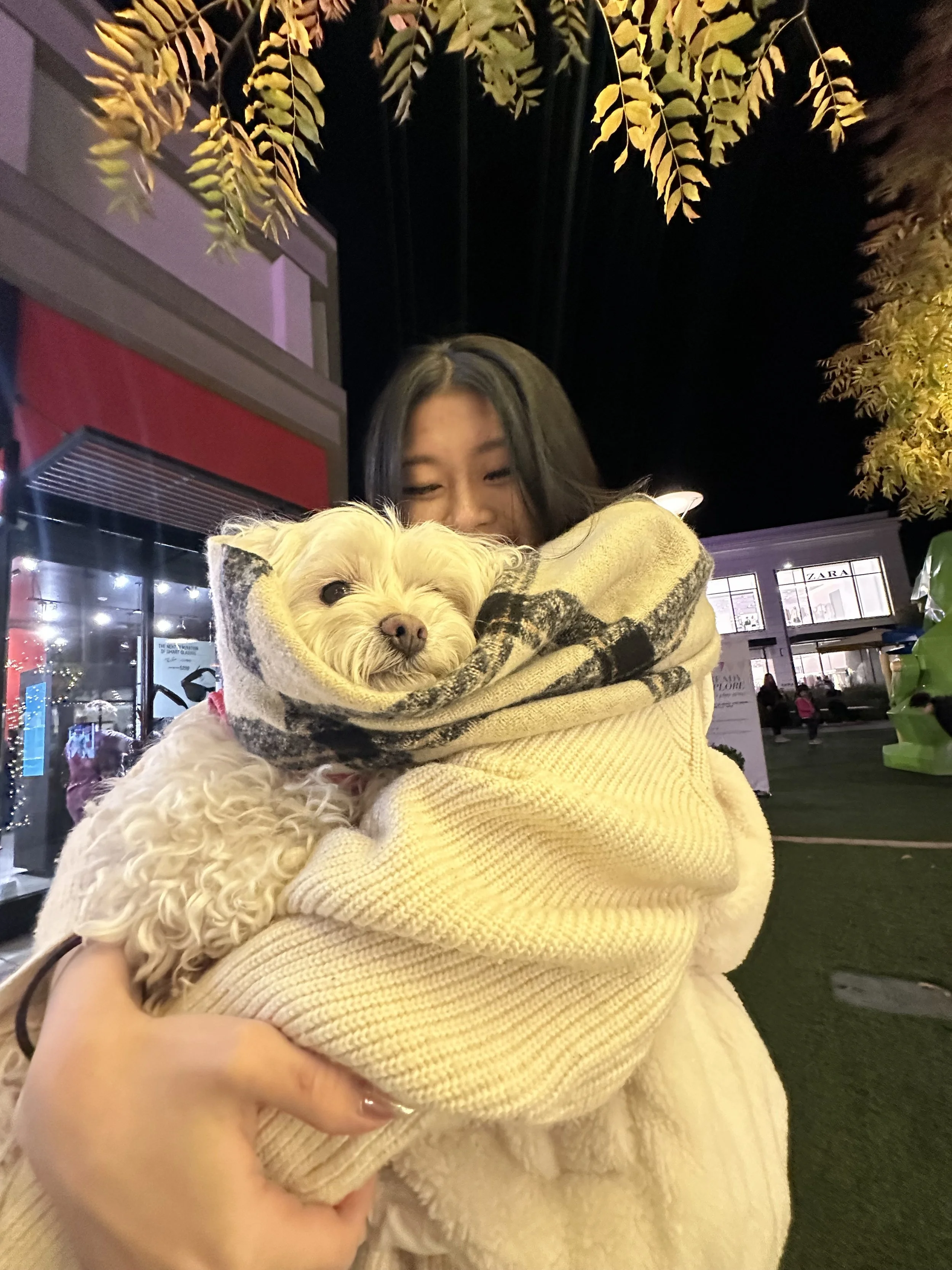 IMG_3389.jpeg
